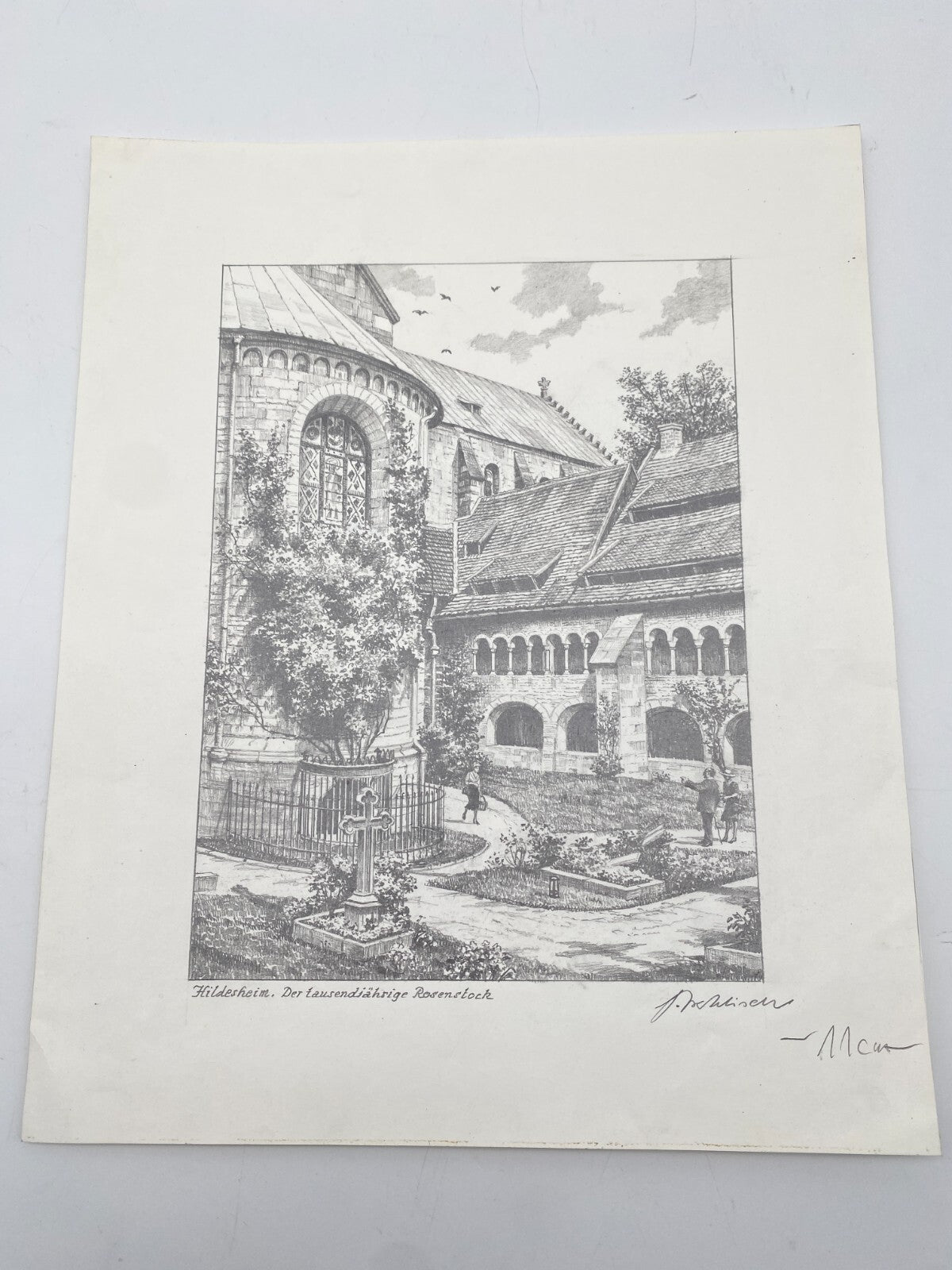 HEINZ WEHLISCH ZEICHNUNG HILDESHEIM TAUSENDJÄHRIGE ROSENSTOCK HANDSIGNIERT