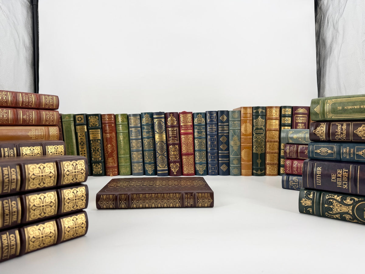 BÜCHER SAMMLUNG EDITION DEUTSCHE BIBLIOTHEK 41x BÜCHER GOETHE SCHILLER LUTHER