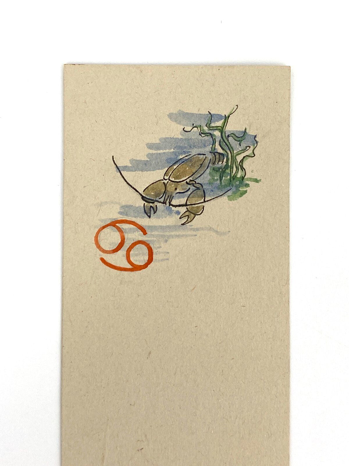 *12x AQUARELLGEMÄLDE HELENA GEESE STERNZEICHEN MONAT ILLUSTRATION