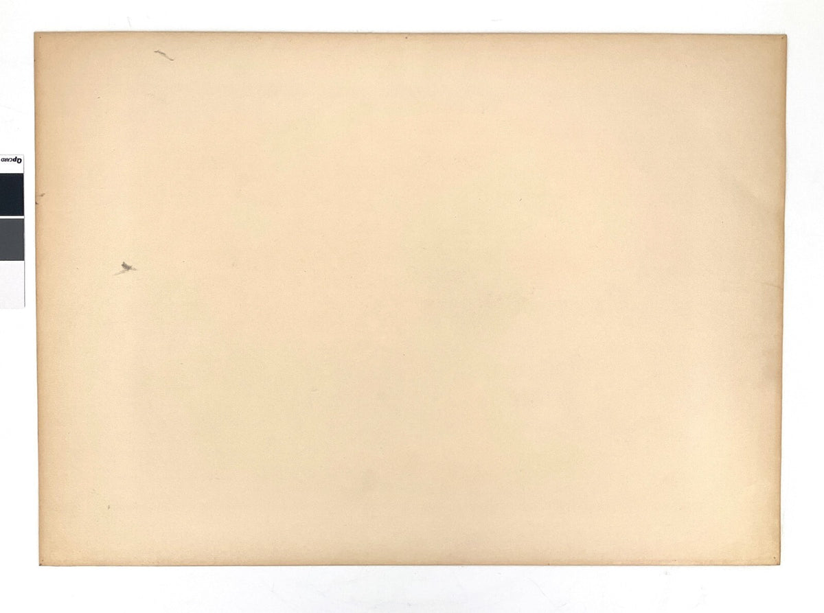 *LINOLSCHNITT WALTER KALOT KÄMPFENDE HÄHNE 1956 ORIGINAL EXPRESSIONISMUS TIERE