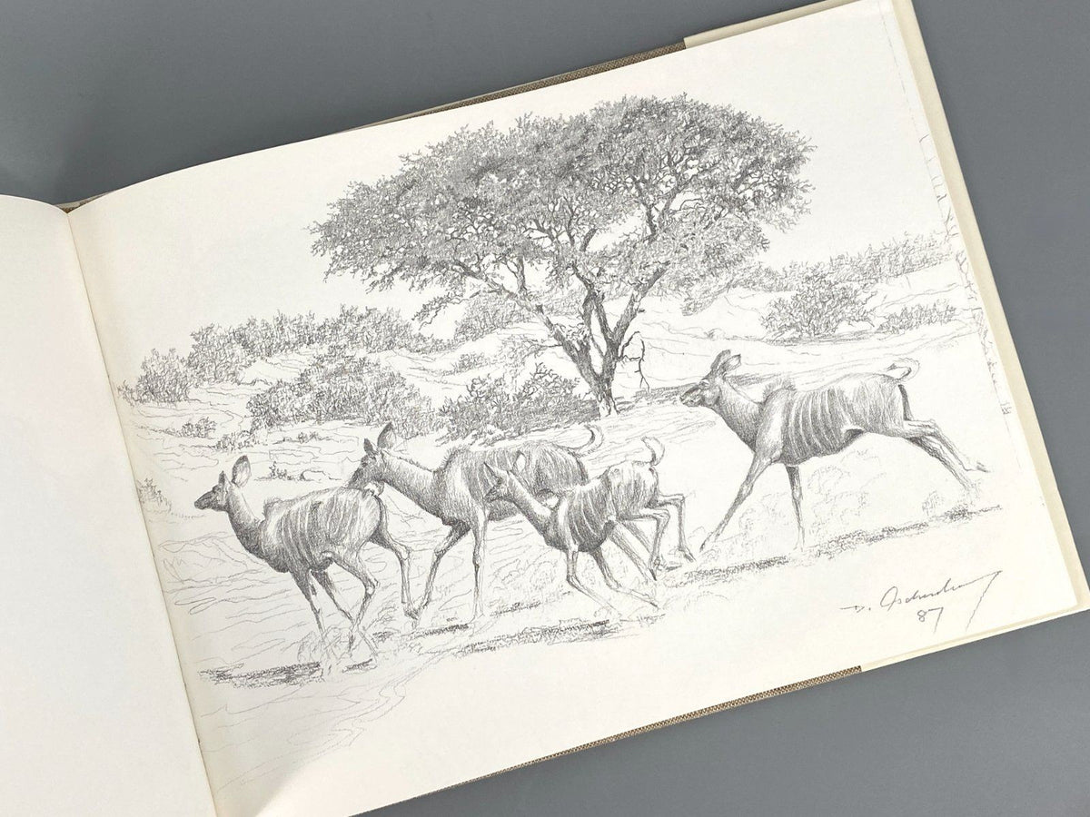 *BUCH DIETER ASCHENBORN NATURZEICHNUNGEN AFRIKA TIERE GAMSBERG