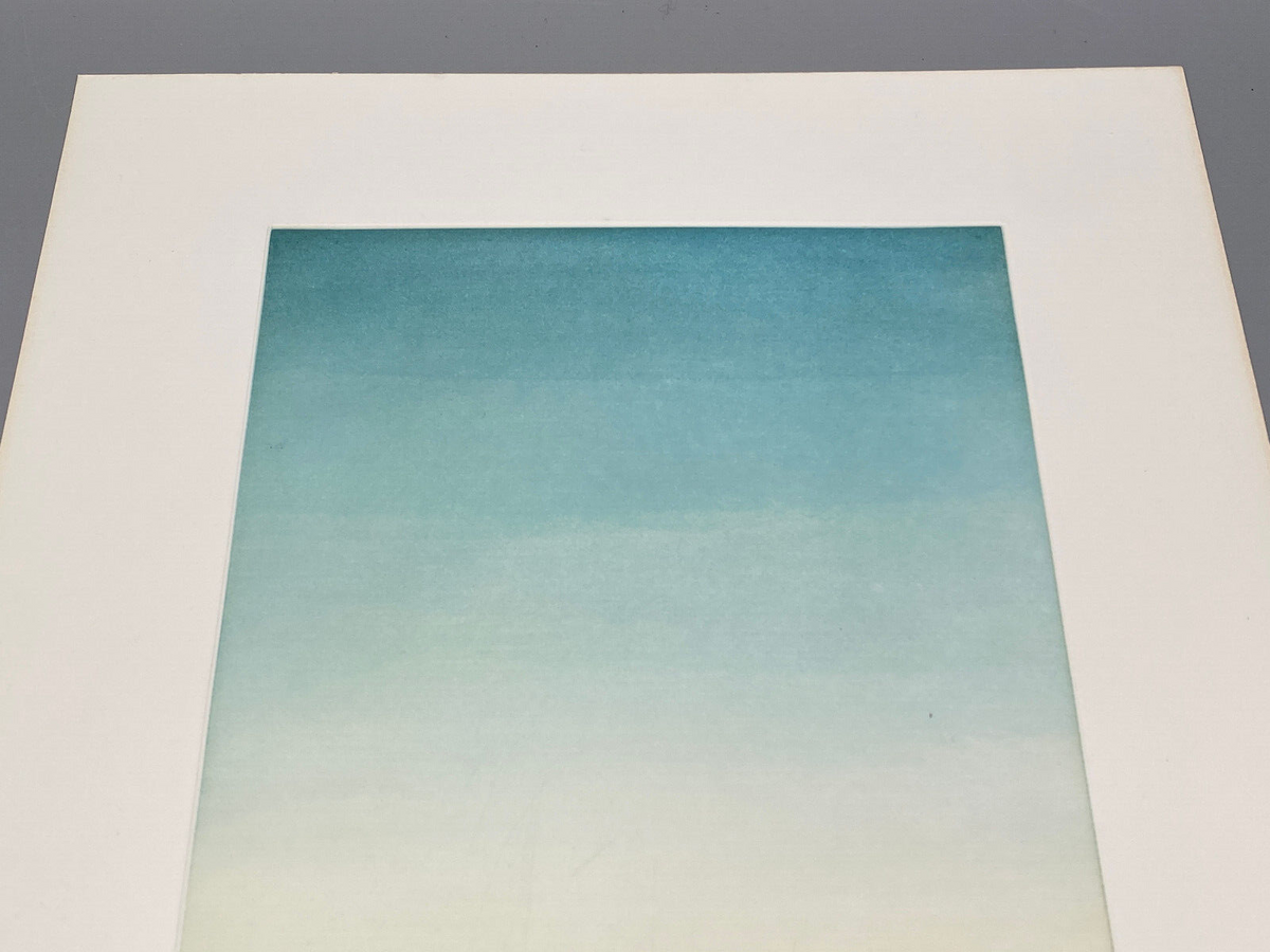 DRUCKGRAFIK FARBRADIERUNG RICHARD A. COX A BRICK TOO MANY 1980 SIGNIERT