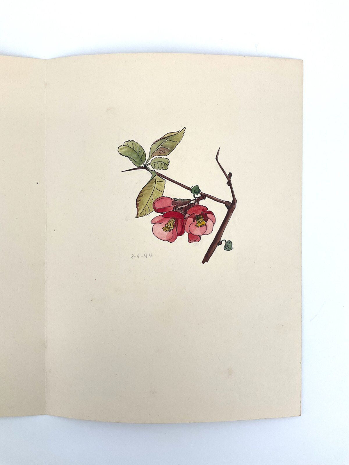 *6x GEMÄLDE HELENA GEESE WYSOCKI BLUMEN UNIKAT 1944 FRÜHLING SIGN