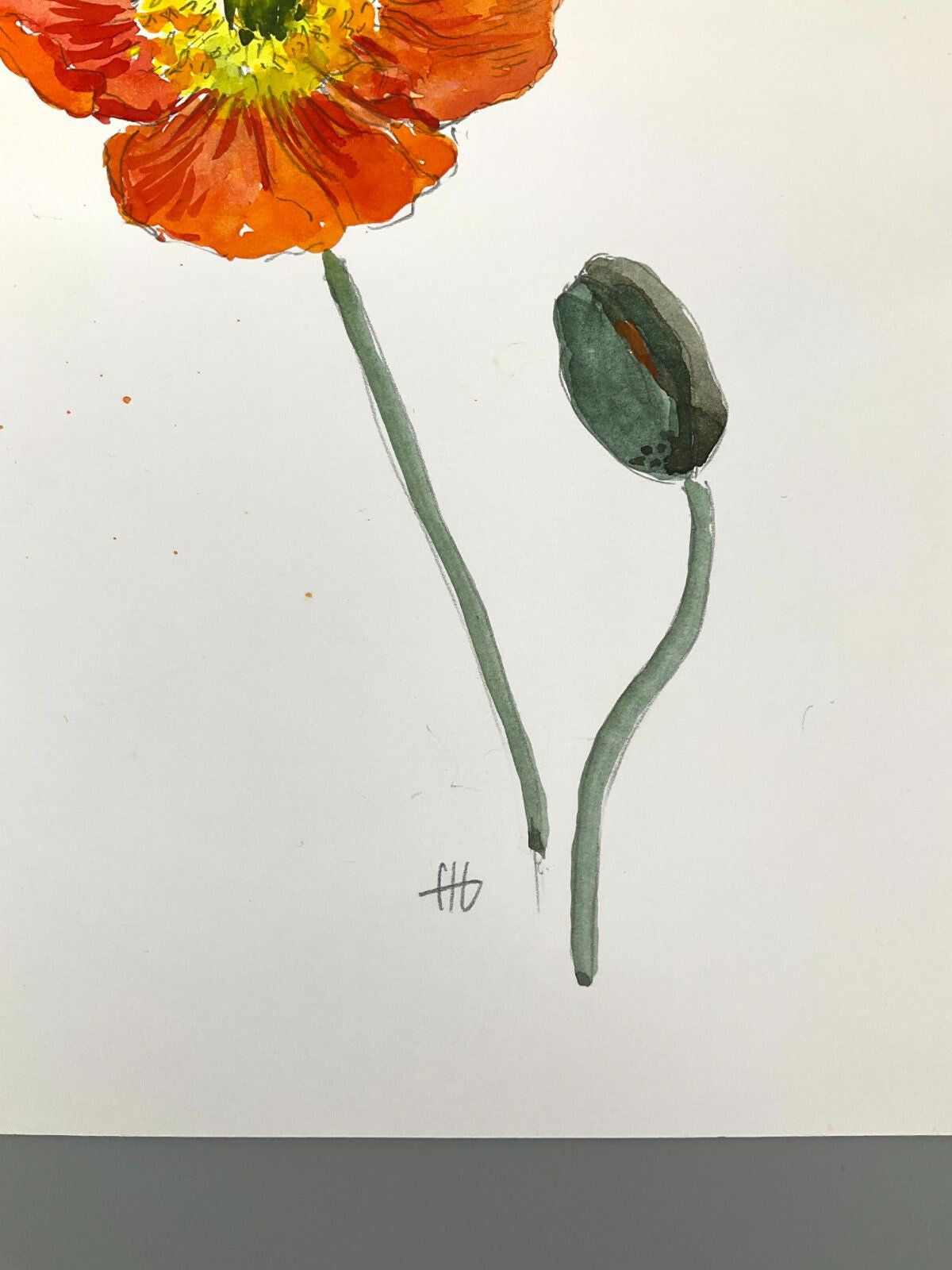 *5x GEMÄLDE AQUARELL HELENA GEESE WYSOCKI KLATSCHMOHNE SONNENBLUM