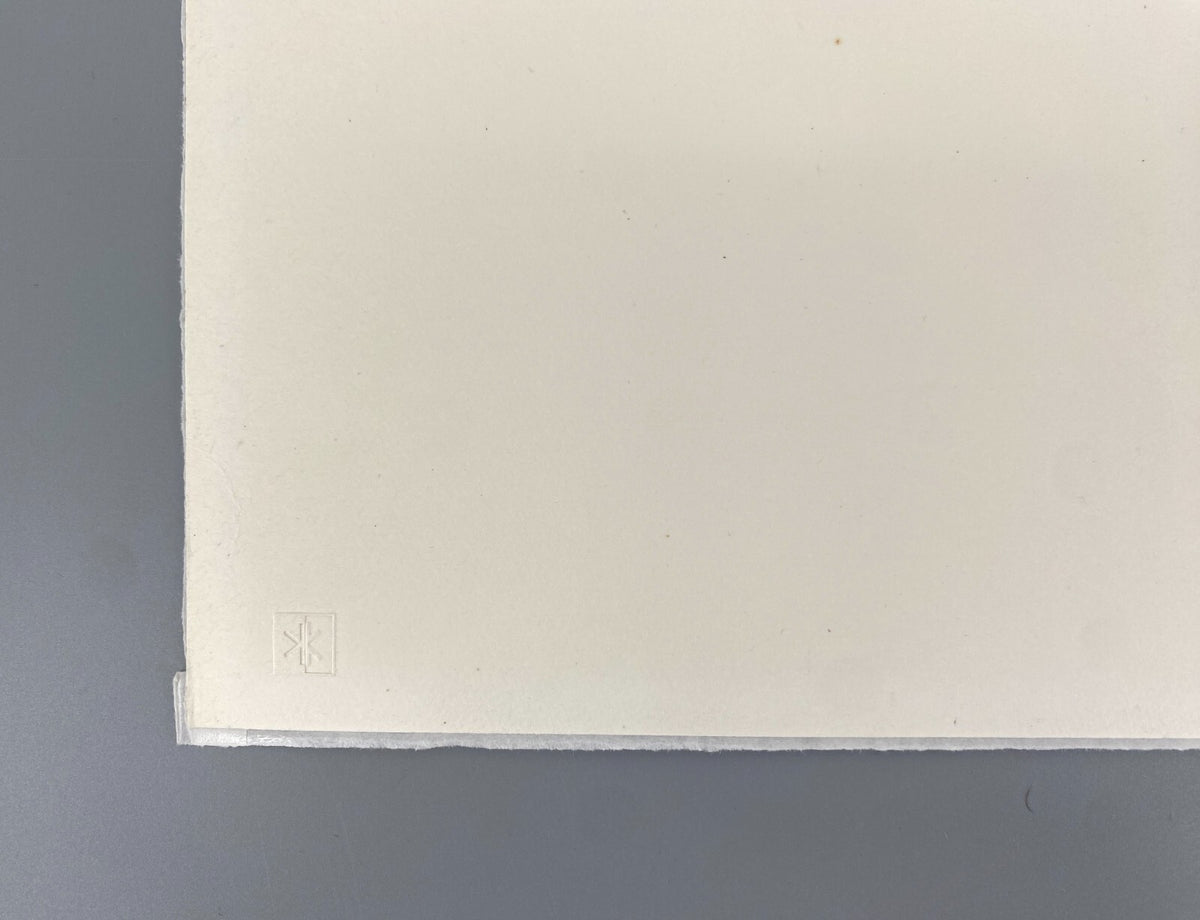 *KOLORIERTE RADIERUNG AQUATINTA MAURILIO MINUZZI SIGNIERT 67/100 1976 ORIGINAL