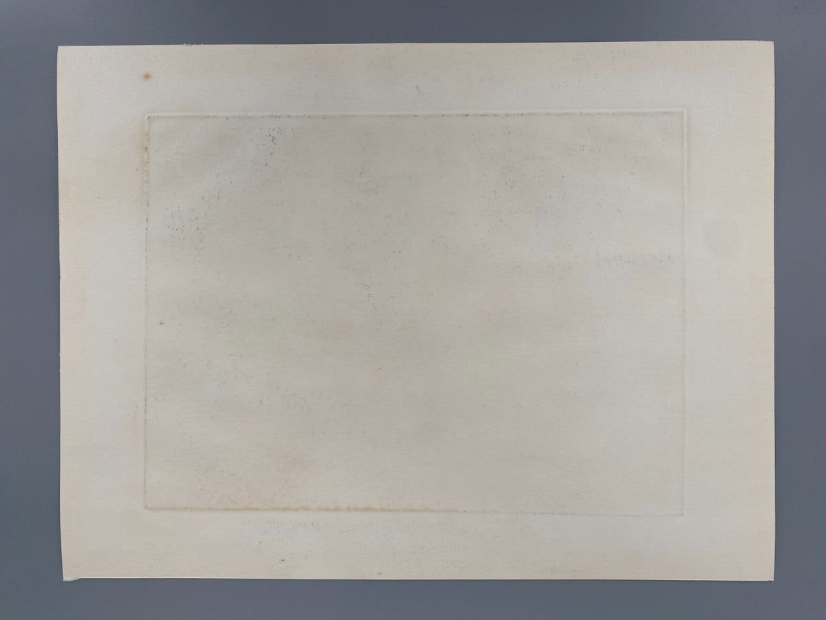 * RADIERUNG HERBERT GRUNWALDT VEGETATION 1963 SIGNIERT SURREALISMUS ORIGINAL