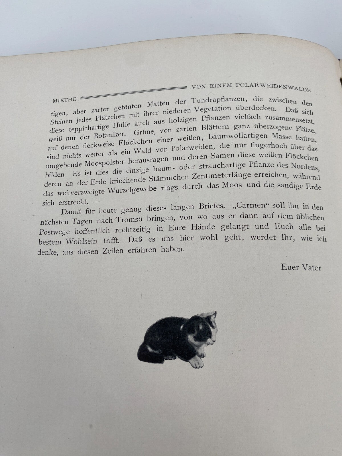 *MIT DEM ZEPPELIN NACH SPITZBERGEN ALTES BUCH 1911 INKLUSIVE FARBFOTOS UND KARTE