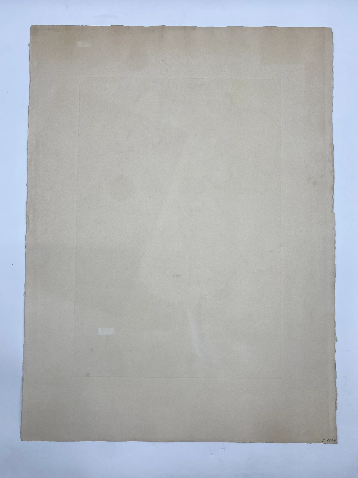 * DRUCK AMANDINE DORE L'ANTONINE LITHOGRAFIE HANDKOLORIERT PARIS EROTIK