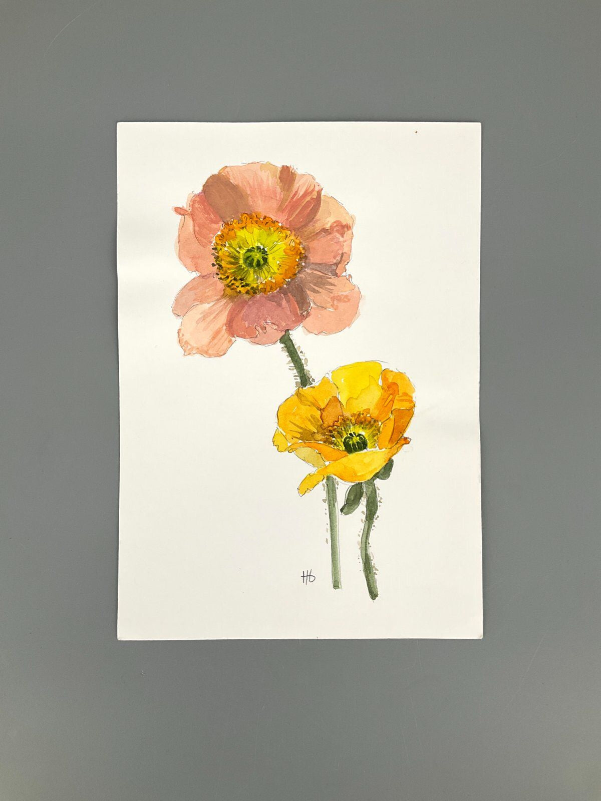 *5x GEMÄLDE AQUARELL HELENA GEESE WYSOCKI KLATSCHMOHNE SONNENBLUM