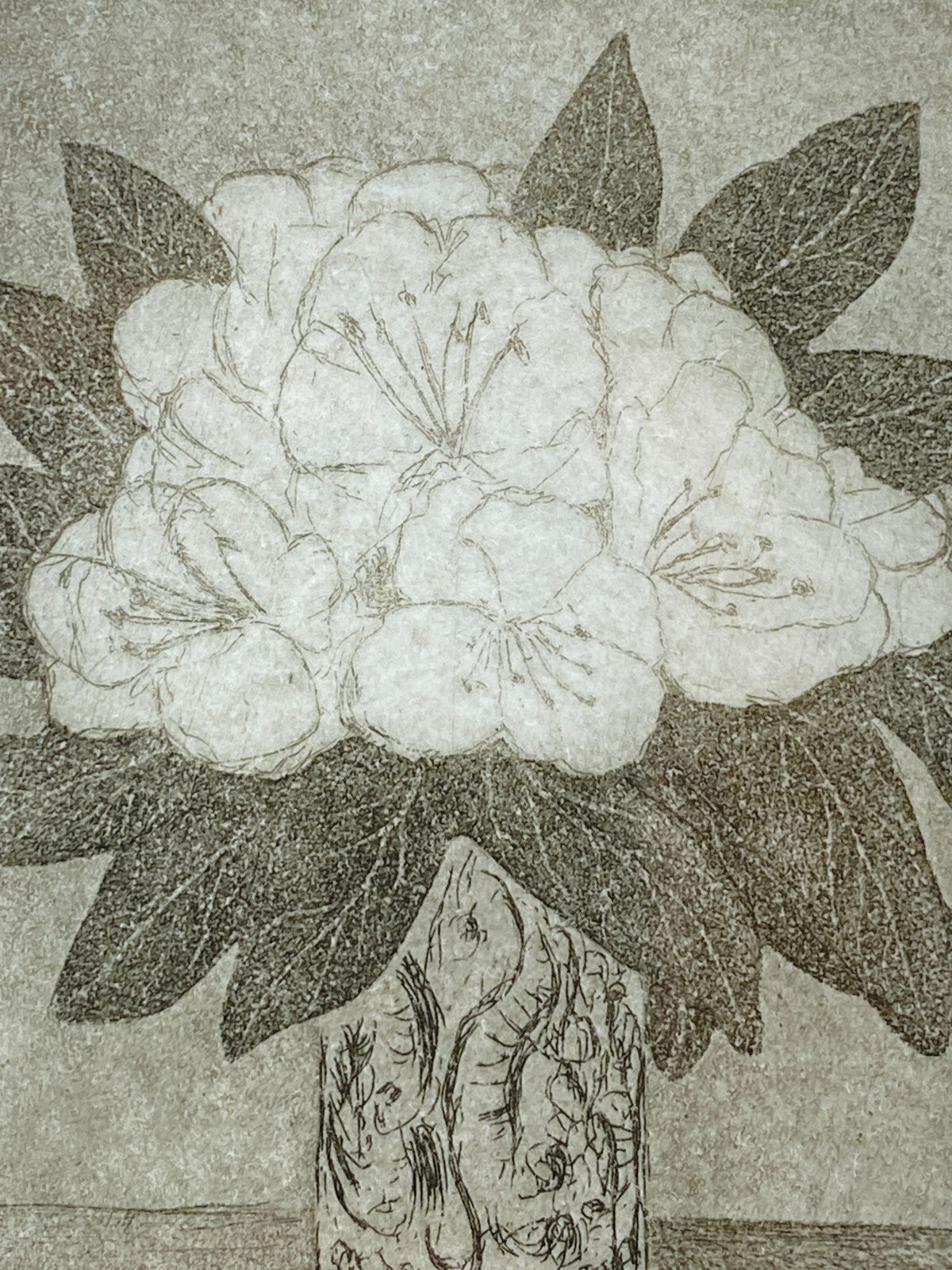 * ALPENROSE RADIERUNG AQUA TINTA ALFRED SCHMIDT LIMITIERT SIGNIERT GERAHMT