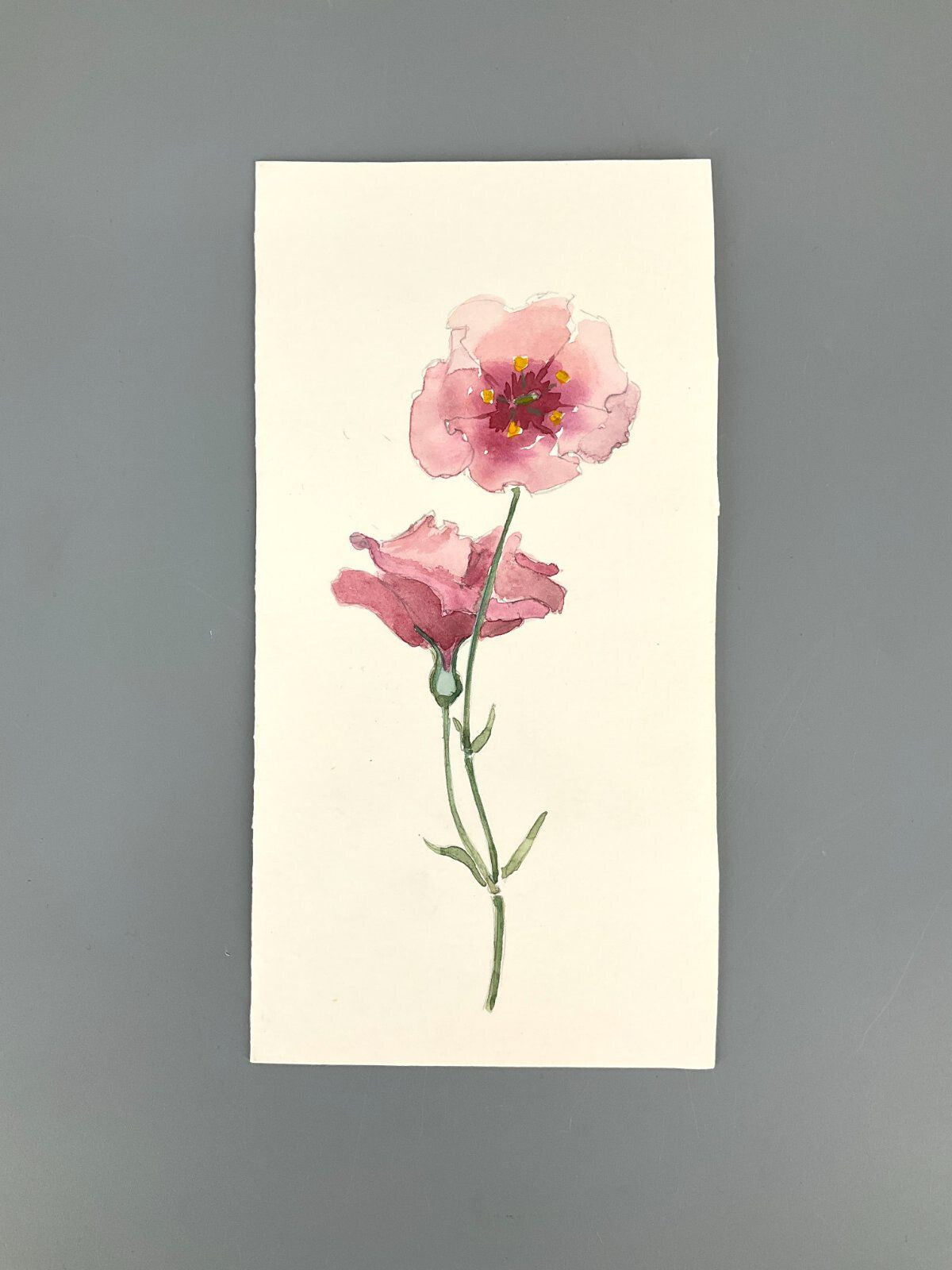 *5x GEMÄLDE AQUARELL HELENA GEESE WYSOCKI KLATSCHMOHNE SONNENBLUM