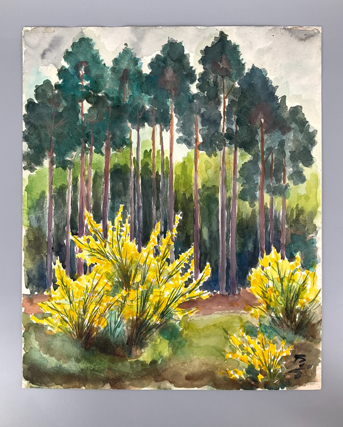 *GEMÄLDE WALD MIT GOLDGLÖCKCHEN AQUARELL SIGNIERT FRÜHLING GELB GRÜN UNIKAT