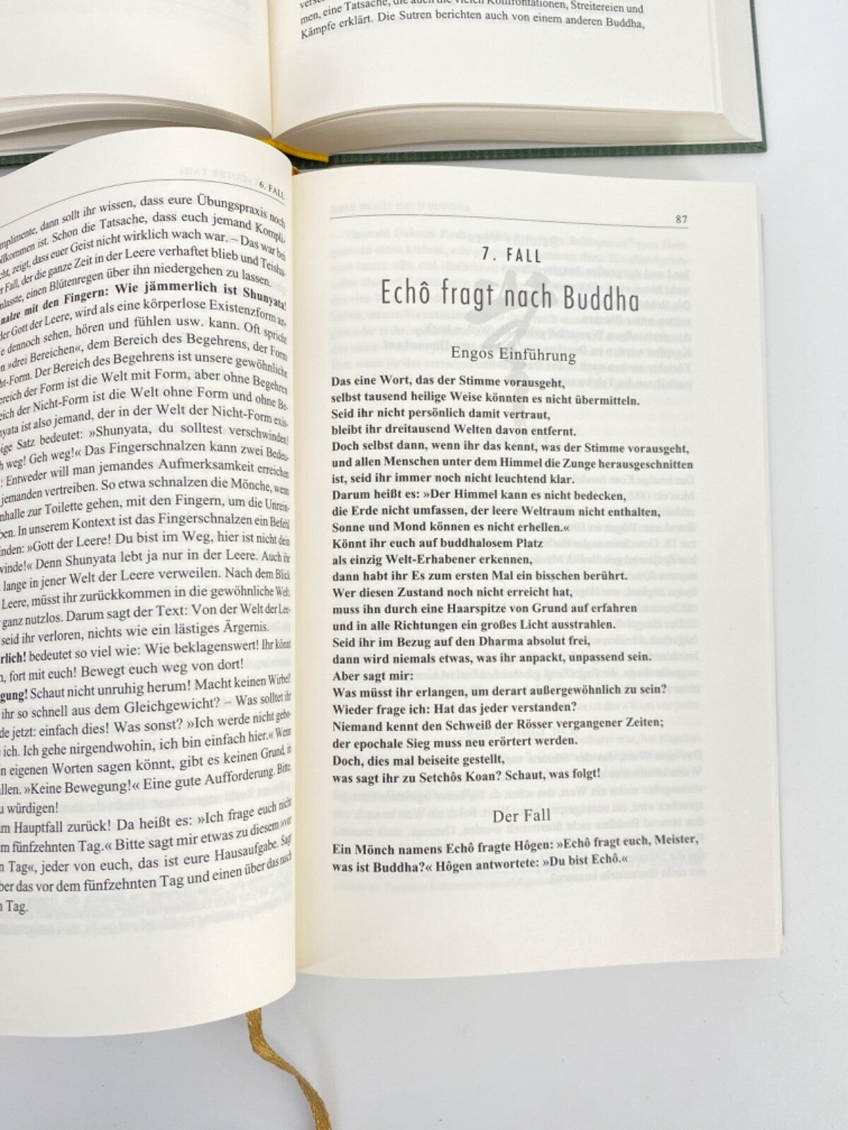* BUCH HEKIGANROKU DIE NIEDERSCHRIFT VOM BLAUEN FELD KOUN ROSHI YAMADA KOAN