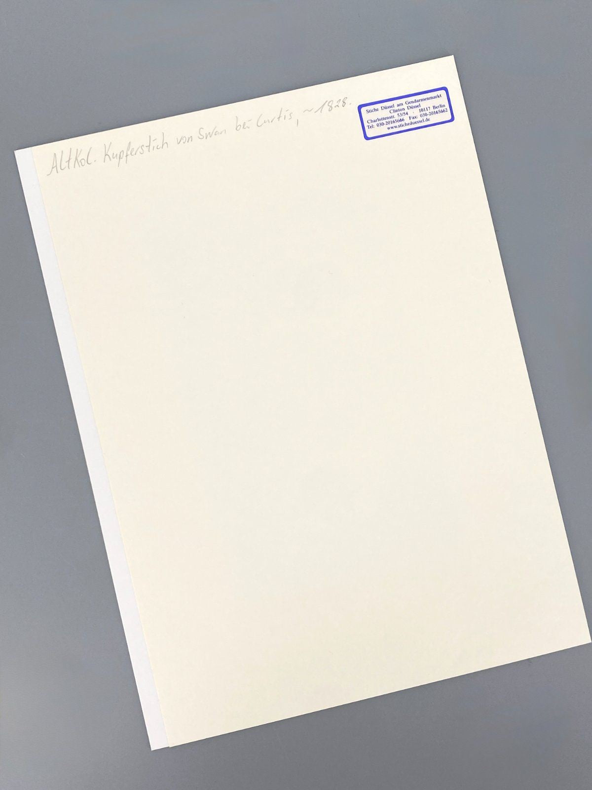 *3x GRAFIK KUPFERSTICH ANTIK BOTANISCH BLUMEN PFLANZEN KOLORIERT