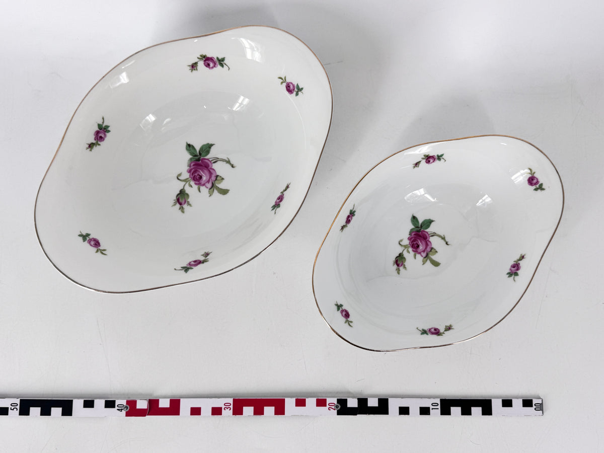 Seltenes Speisegeschirr von Rosenthal Bavaria für die Niederlage Dresden, Deutschland 1919-1922