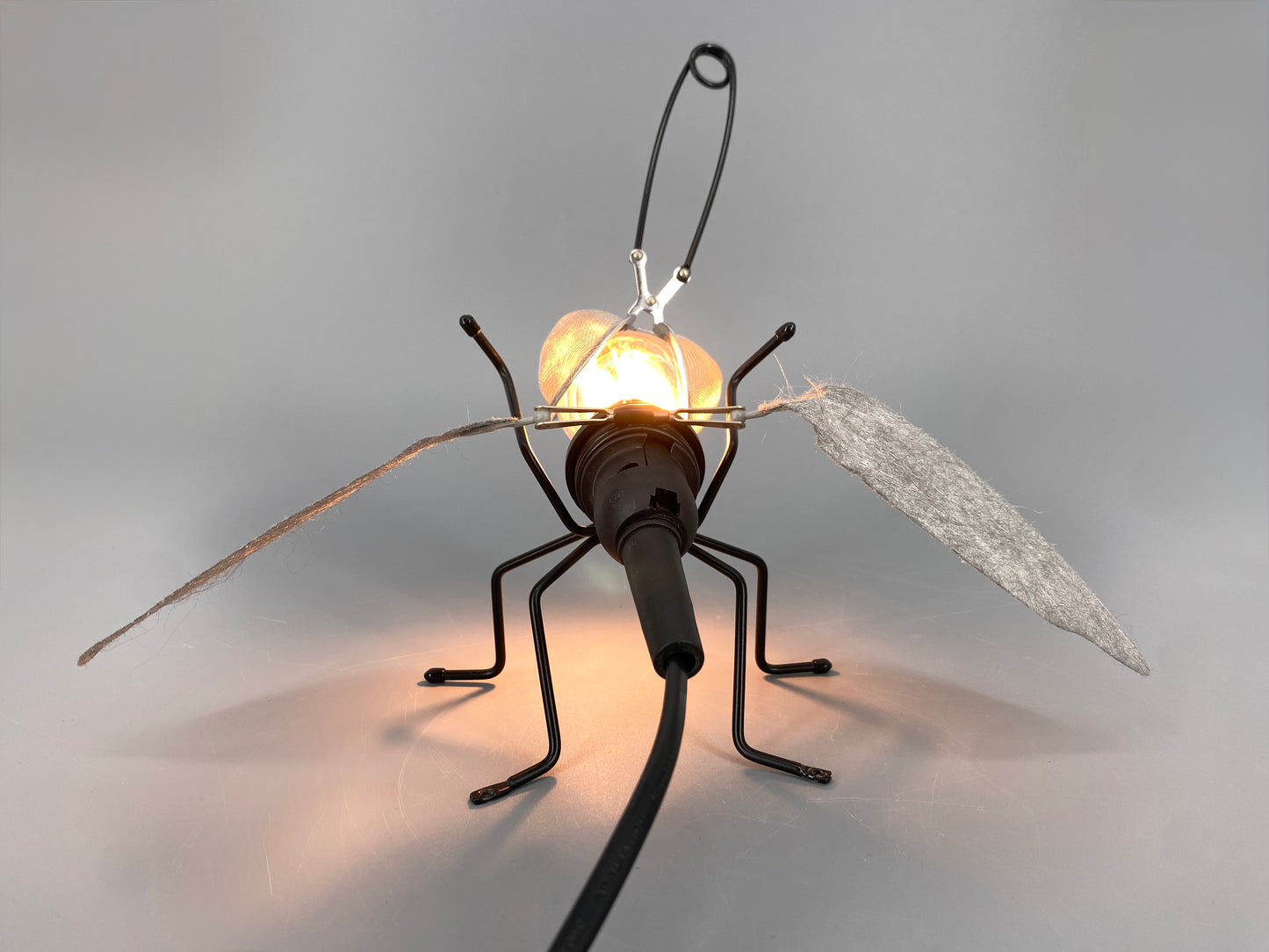 5x Wand,-oder Deckenlampe in Form einer Fliege von Sigi Bußinger für OLIGO, Deutschland 2000er