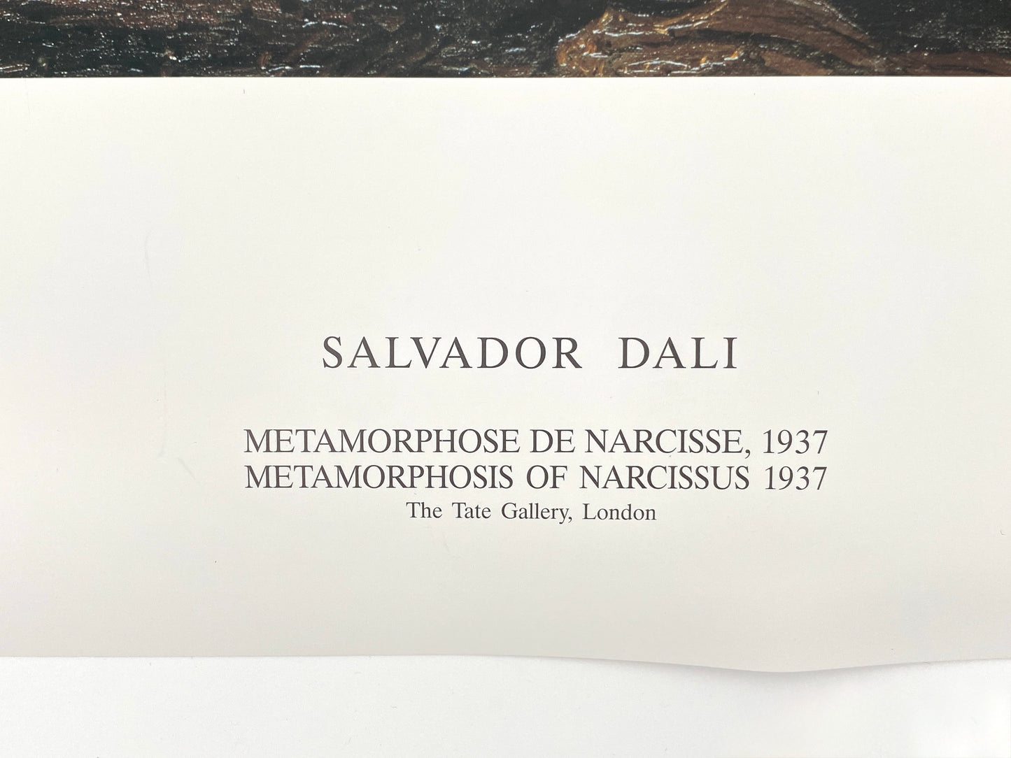 Hochwertiger Offsetdruck des Gemäldes "Metamorphosis of Narcissus", 1937 von Salvador Dali, Tate Gallery London, Großbritannien 1993