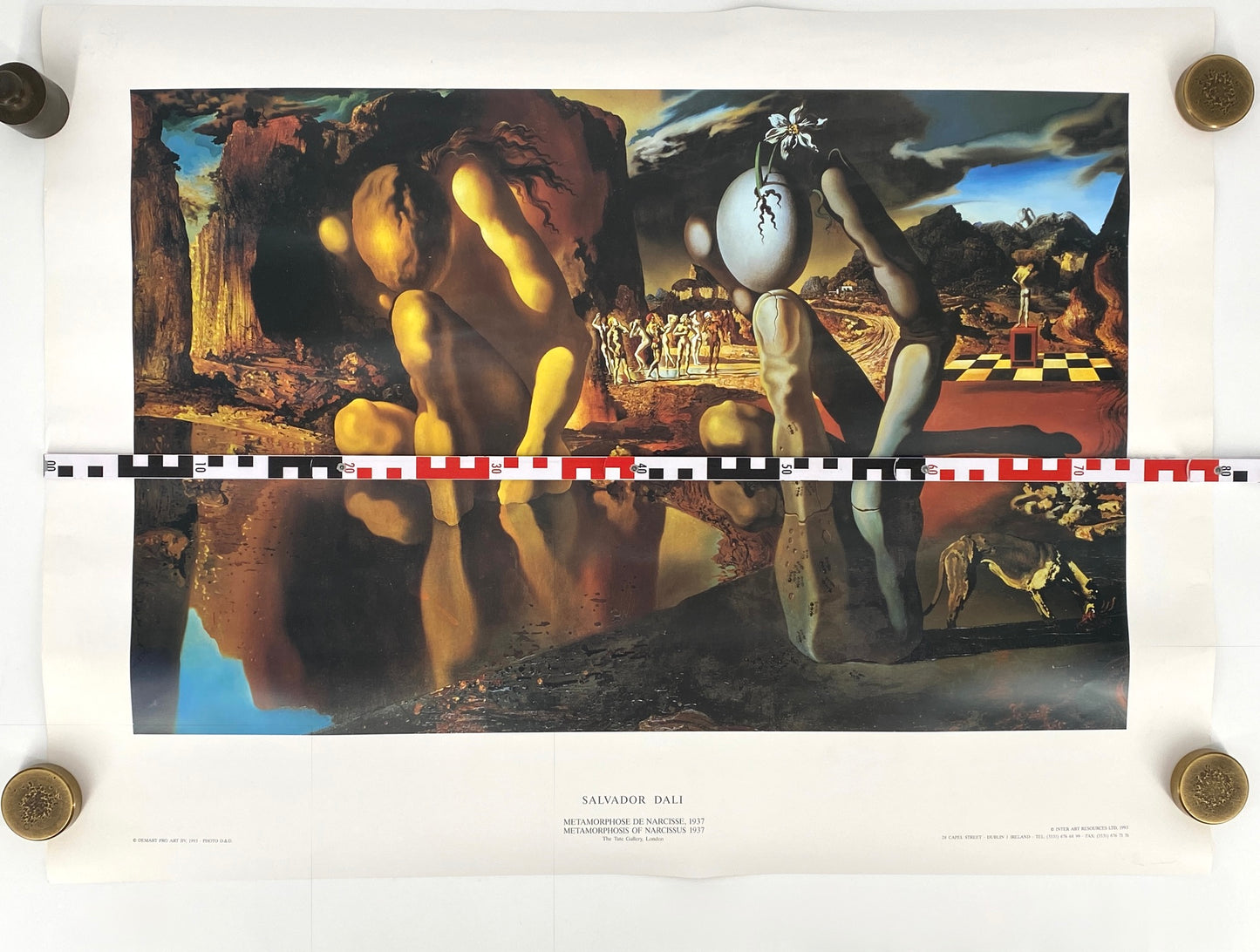 Hochwertiger Offsetdruck des Gemäldes "Metamorphosis of Narcissus", 1937 von Salvador Dali, Tate Gallery London, Großbritannien 1993