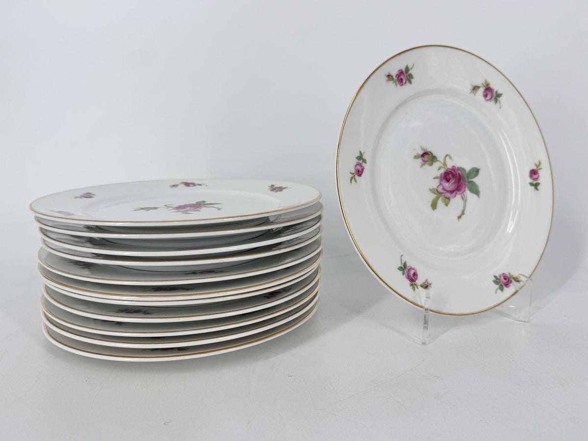 Seltenes Speisegeschirr von Rosenthal Bavaria für die Niederlage Dresden, Deutschland 1919-1922