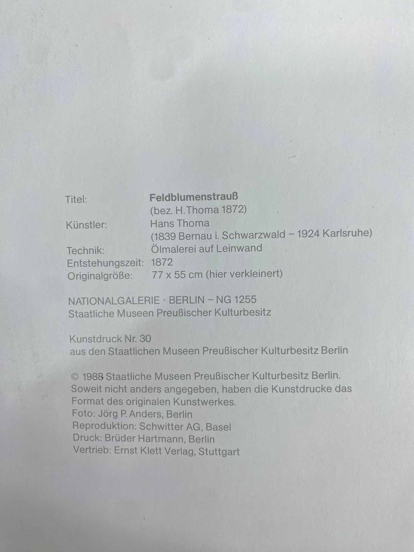 Kunstdruck, Feldblumenstrauß. Von Hans Thoma, Stilleben-Poster.