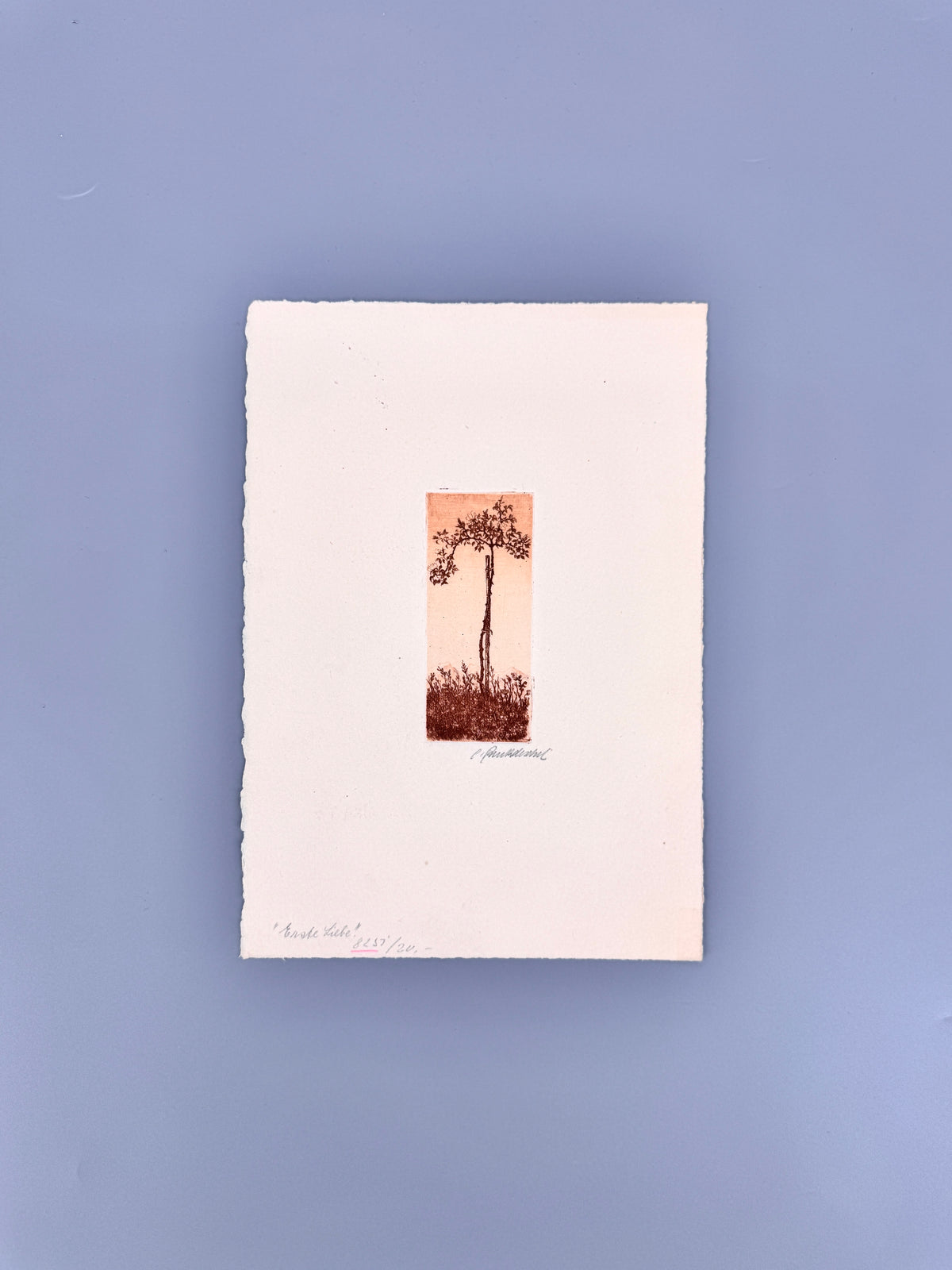 Erste Liebe, Junger Baum. Radierung