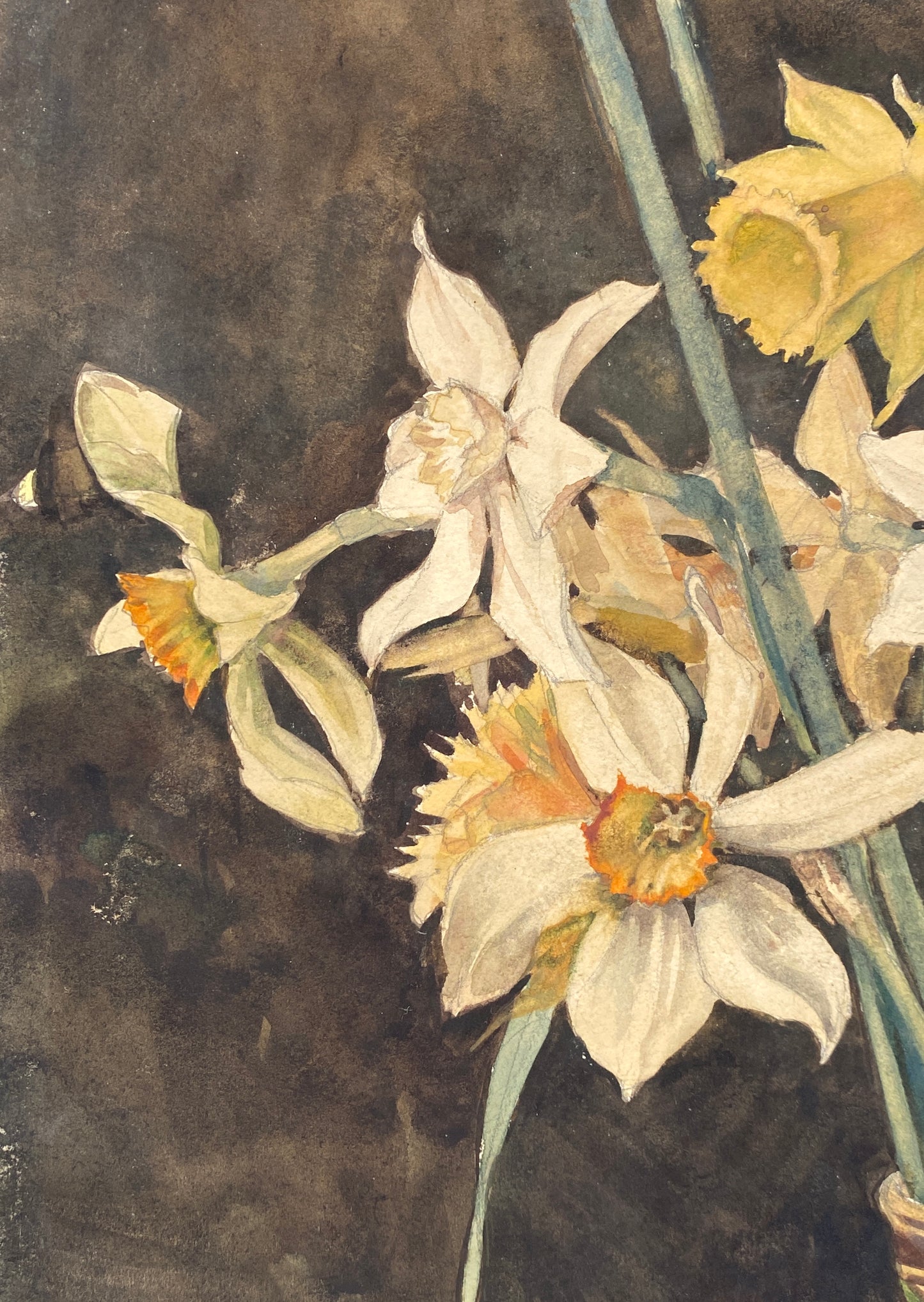 Gouache-Gemälde "Blumenstilleben mit Narzissen" von unbekanntem Künstler signiert, 1957