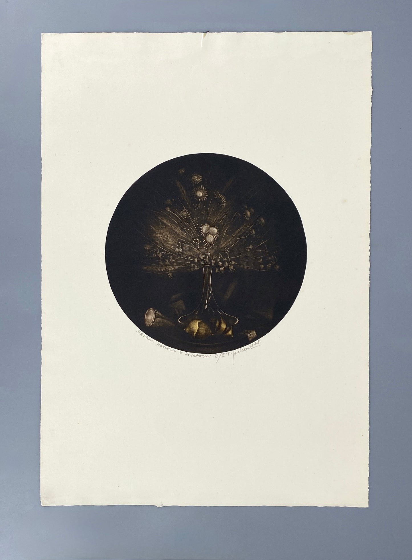 Mezzotinto-Radierung „Martwa natura z kwiatami“ (Stillleben mit Blumen) vom polnischen Künstler Tadeusz Jackowski, 1978