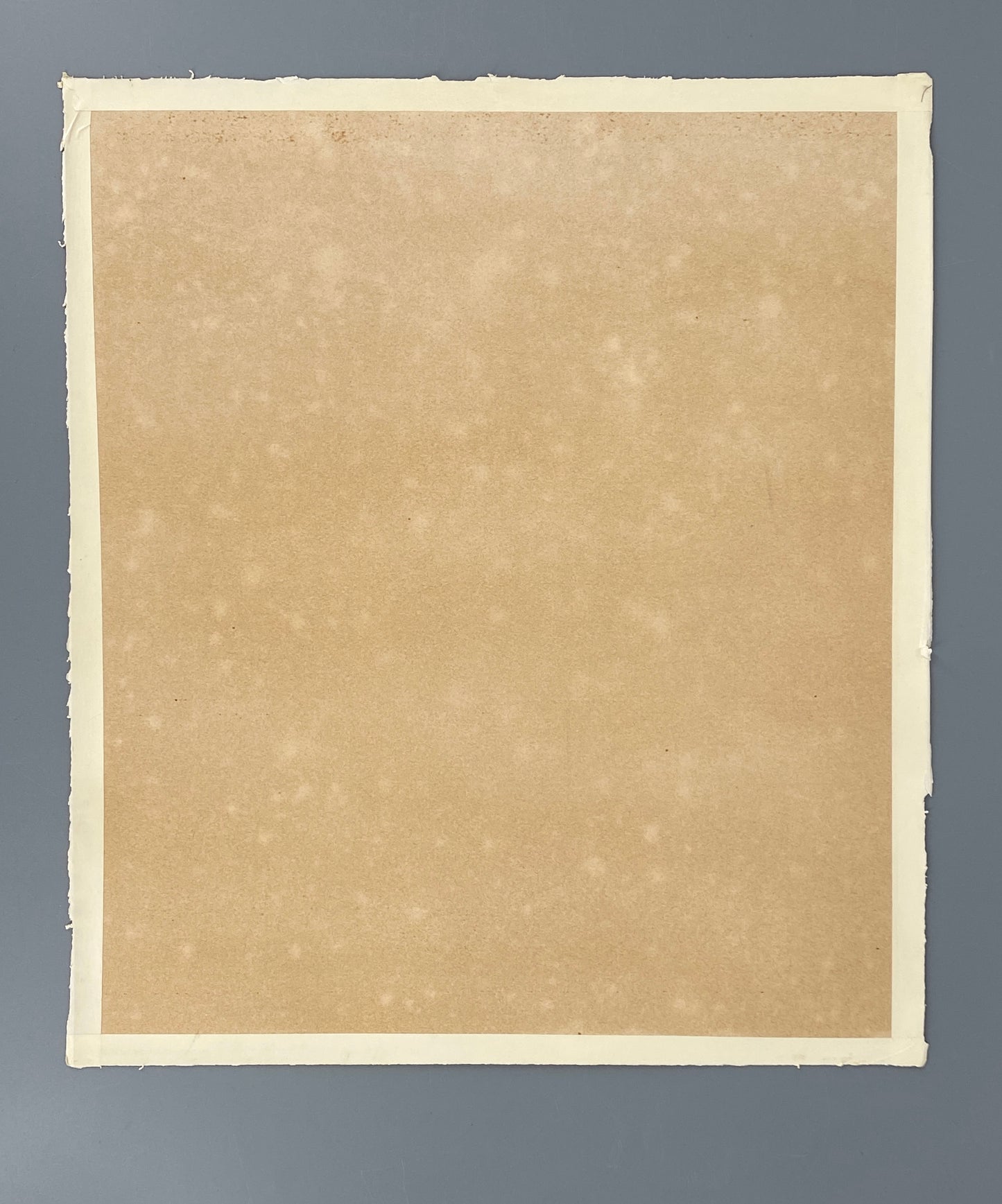 Seltene, handsignierte Farblithografie "Coulisses de forêt" von Hans Arp (1886–1966), 1955