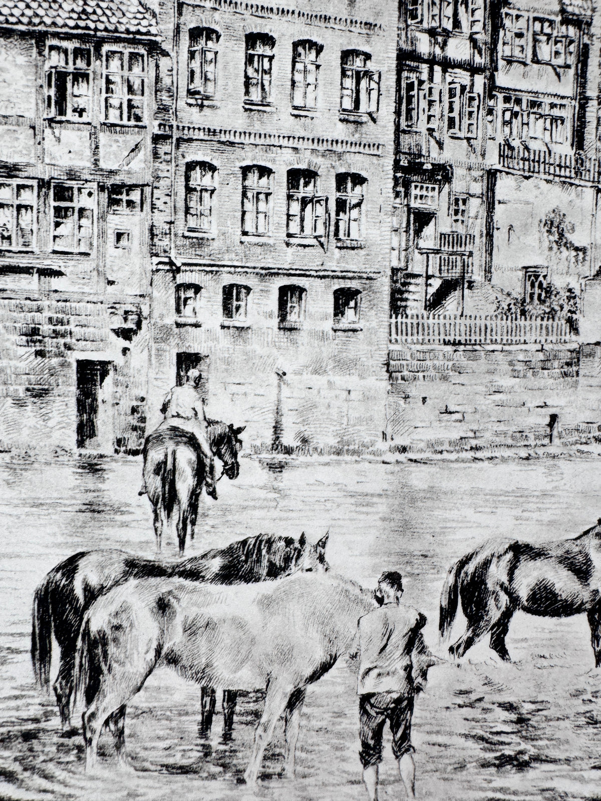 Radierung, Hannover. Historische Ansicht, Pferde am Fluss, Hein Wehlisch