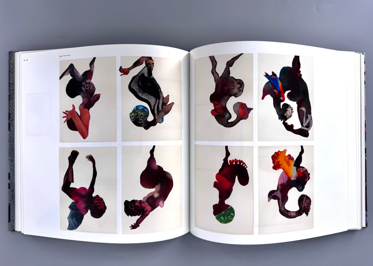 Wangechi Mutu - My Dirty Little Heaven. Anlässlich des Preises "Artist of the Year" 2010.