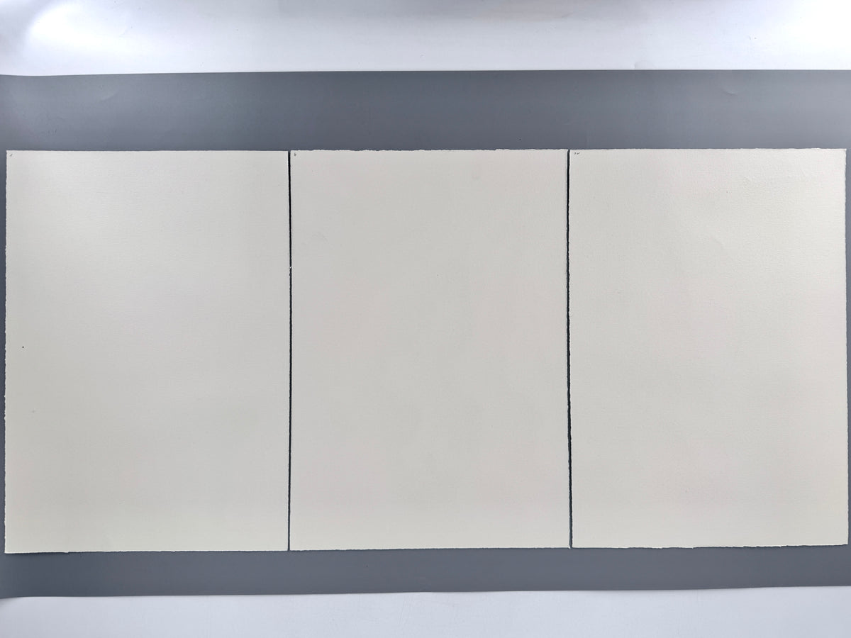 3x Grafik, Ingrid Schaar. Künstler-Darstellungen