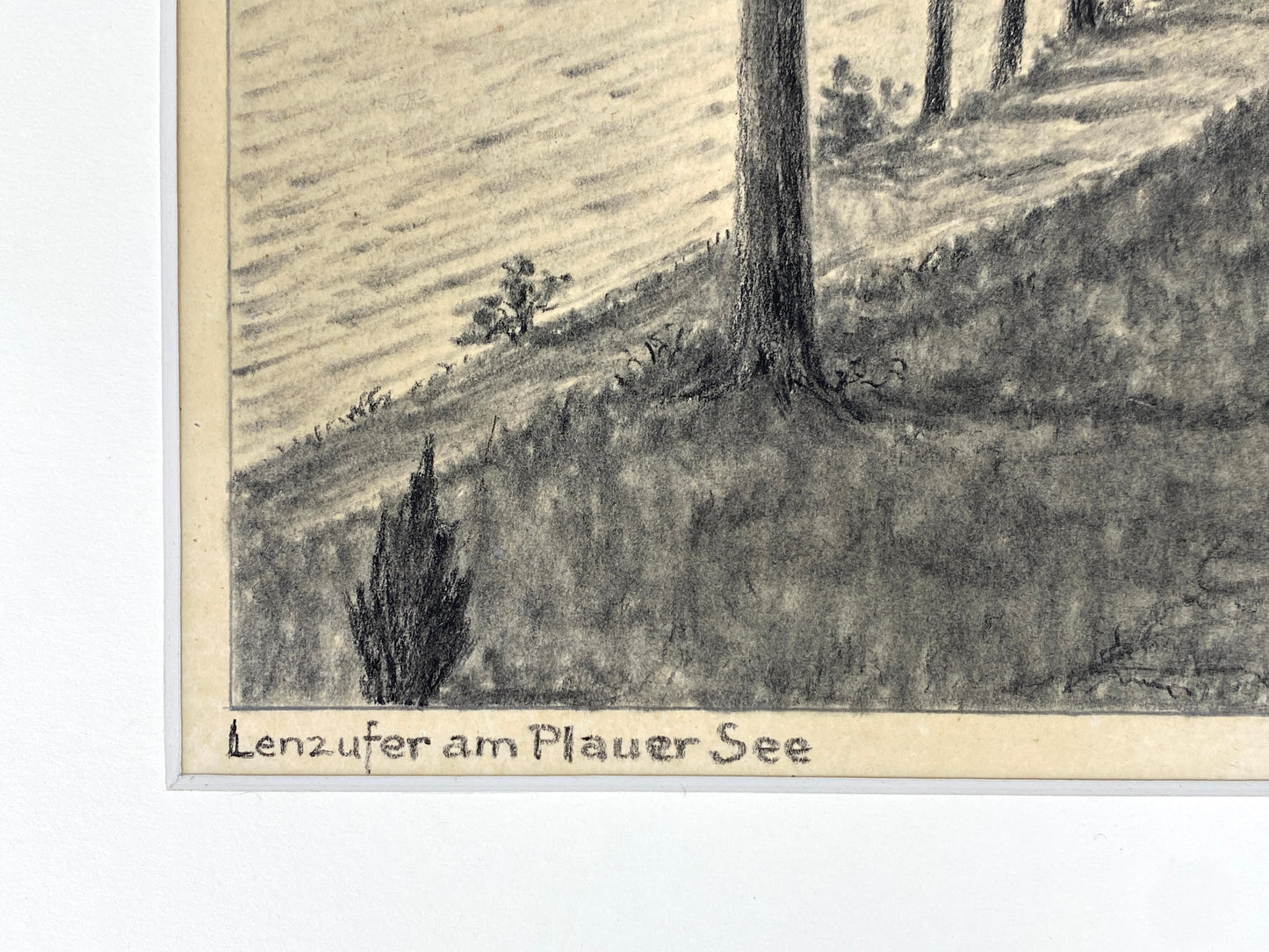 Signierte Kohlezeichnung "Lenzufer am Plauer See" von Carl Münster in Passepartout