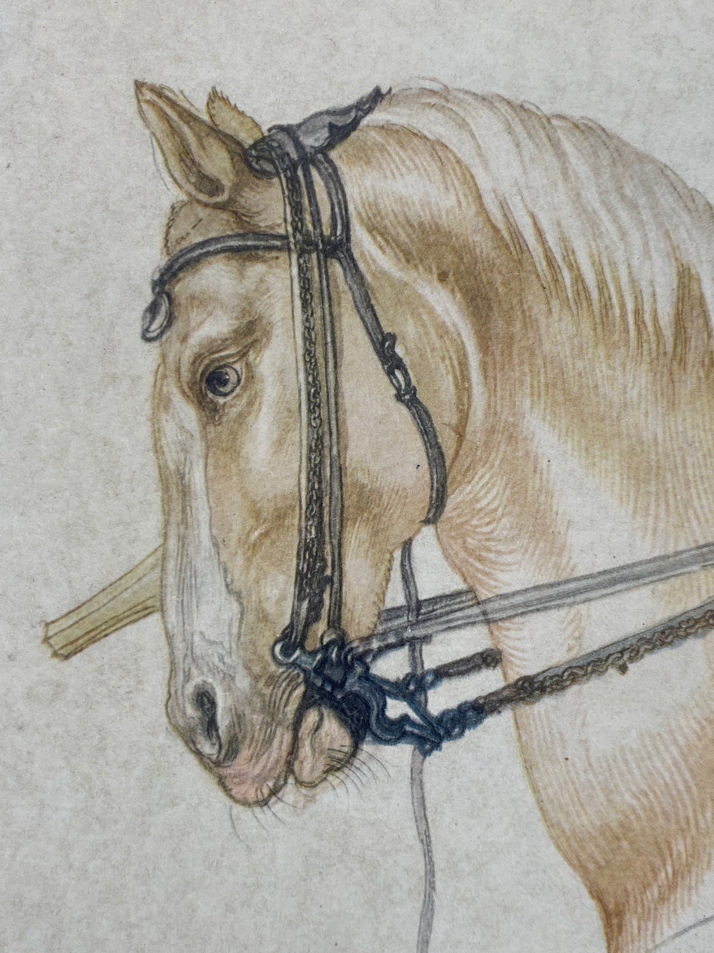 hochwertiger Kunstdruck von Albrecht Dürer: Studie eines Reiters, 1498