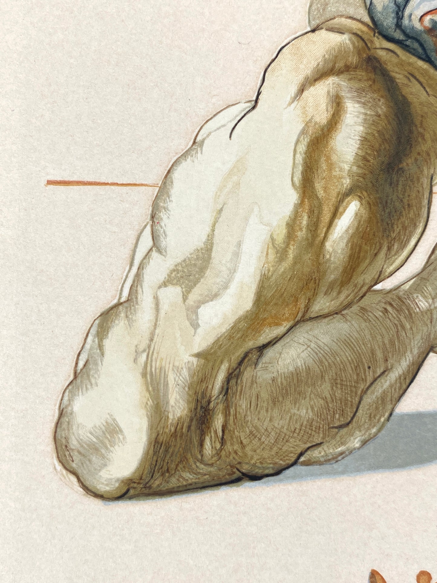 Holzstich von Salvador Dalí aus der Reihe „Göttliche Komödie“ nach dem Werk von Dante, Paris um 1959–1964