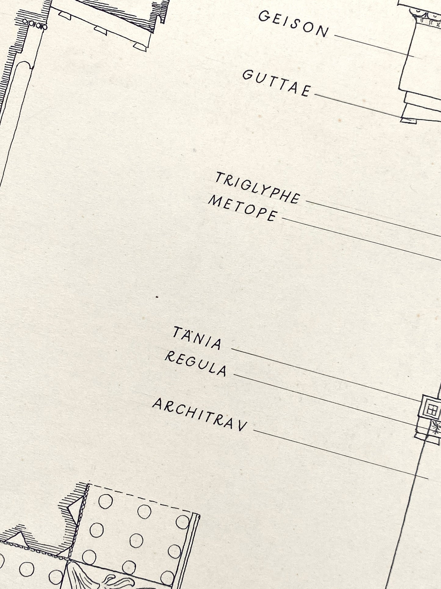 Handzeichnung "Dorische Ordnung am Parthenon" vom Architekten Dieter Rogalla, 1952