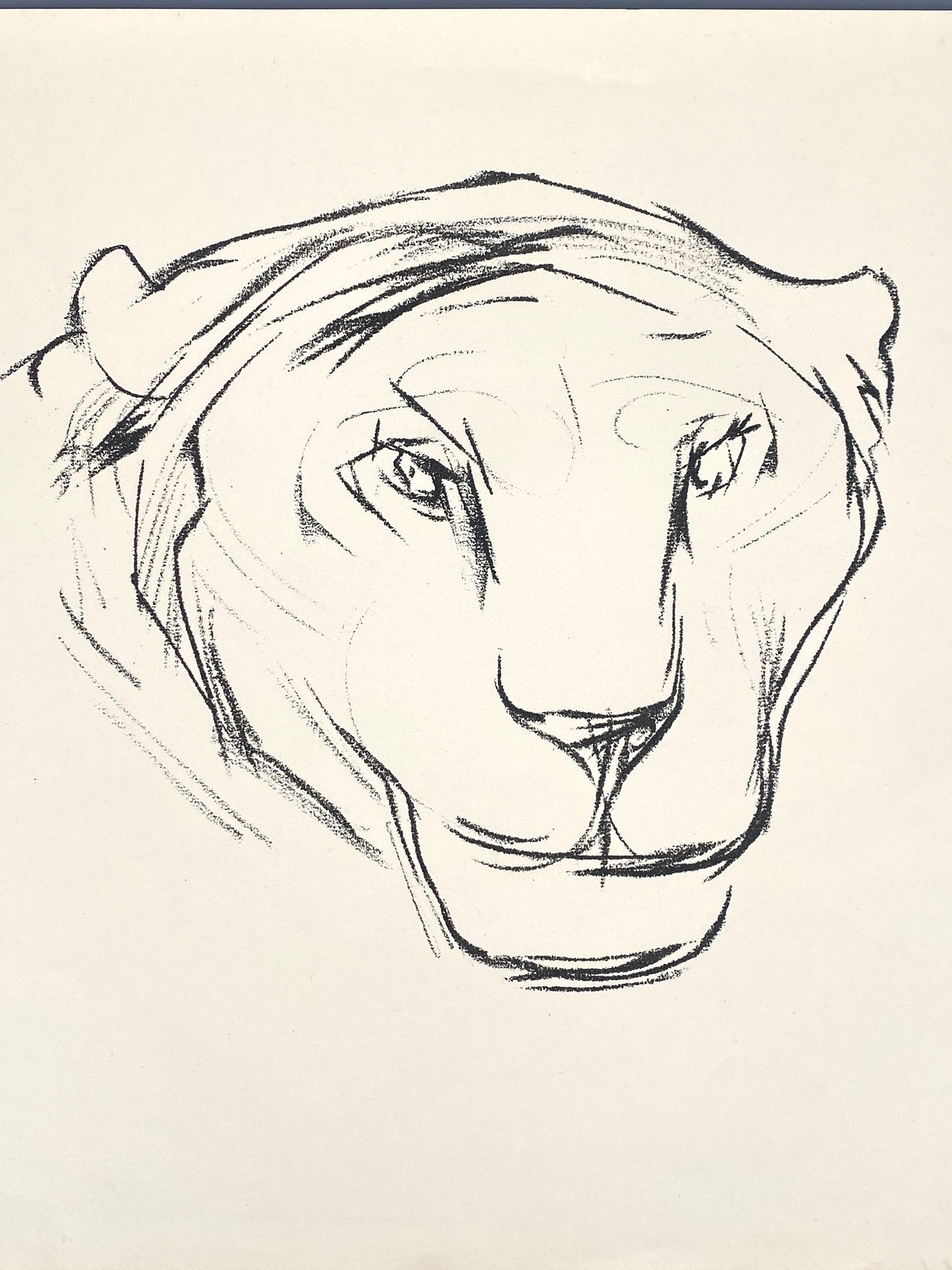 Handsignierte Lithografie "Pantherkopf" von Hans Martin Ruwoldt (1891–1969)