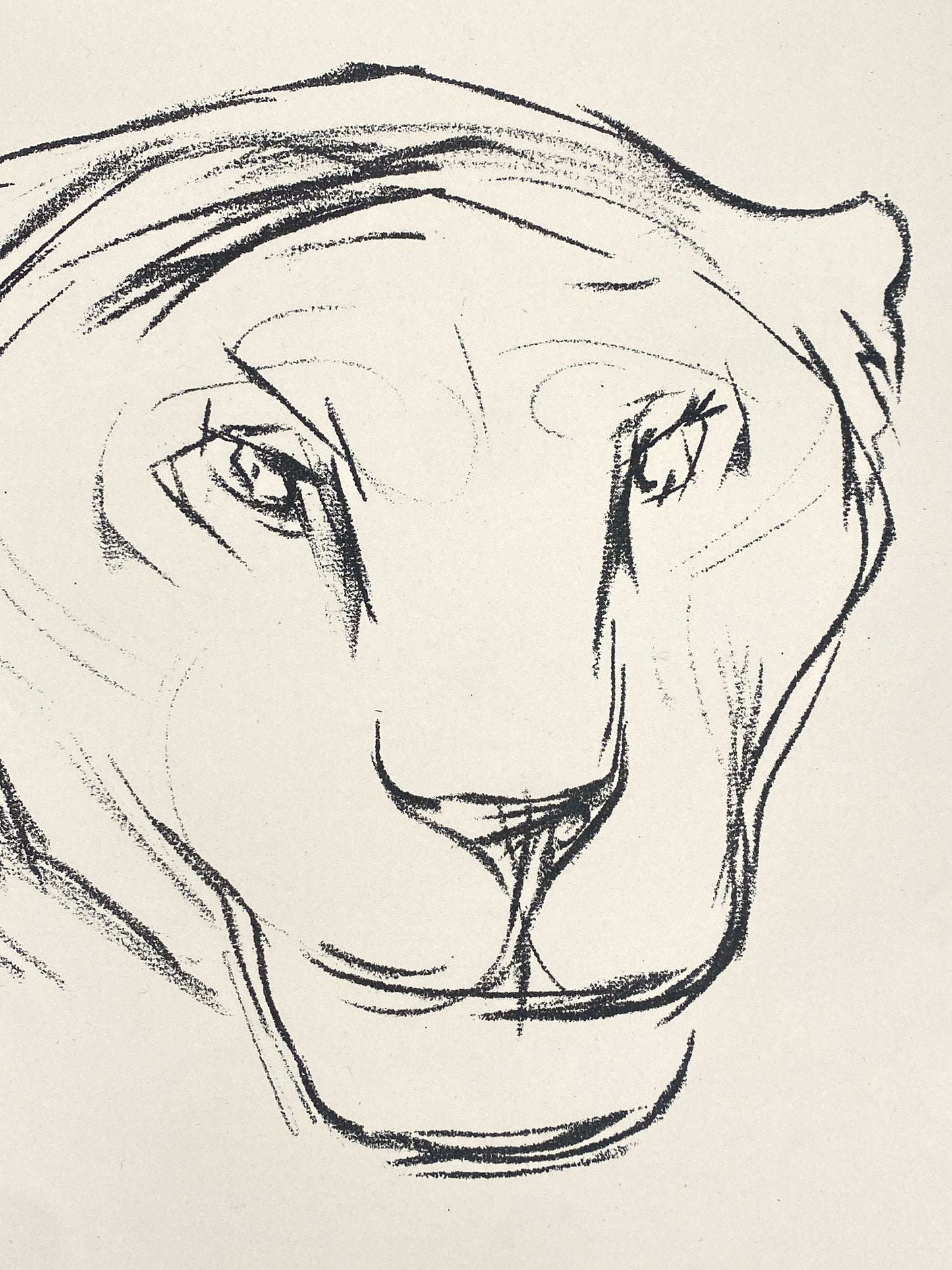 Handsignierte Lithografie "Pantherkopf" von Hans Martin Ruwoldt (1891–1969)