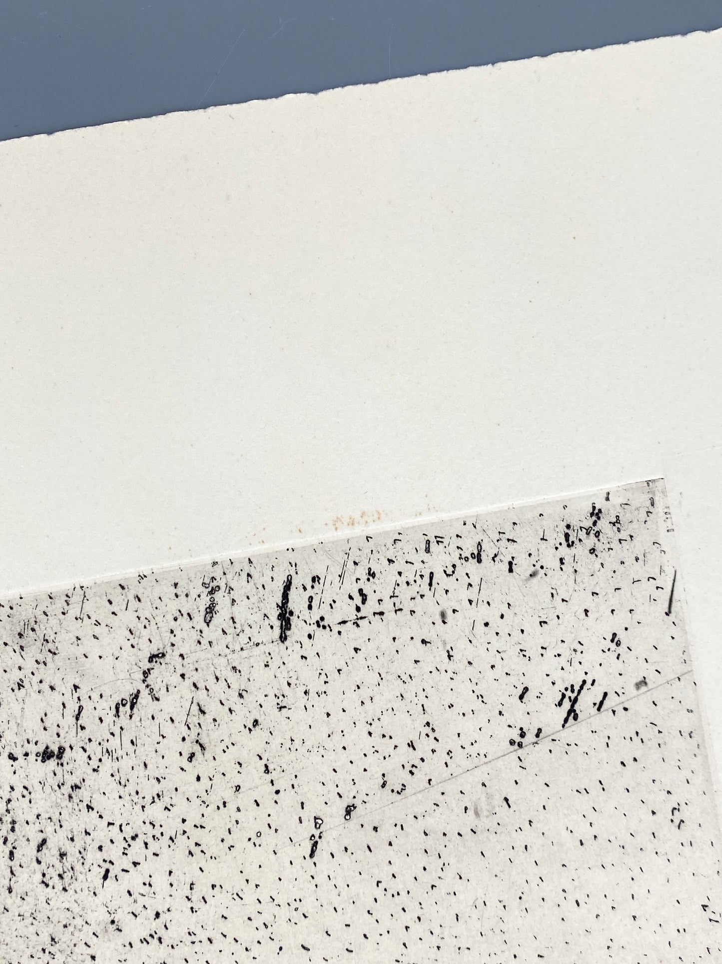 Radierung "Hinterhof" von Gisela Bührmann (1925–2011), Edition der Griffelkunst-Vereinigung, Hamburg 1964