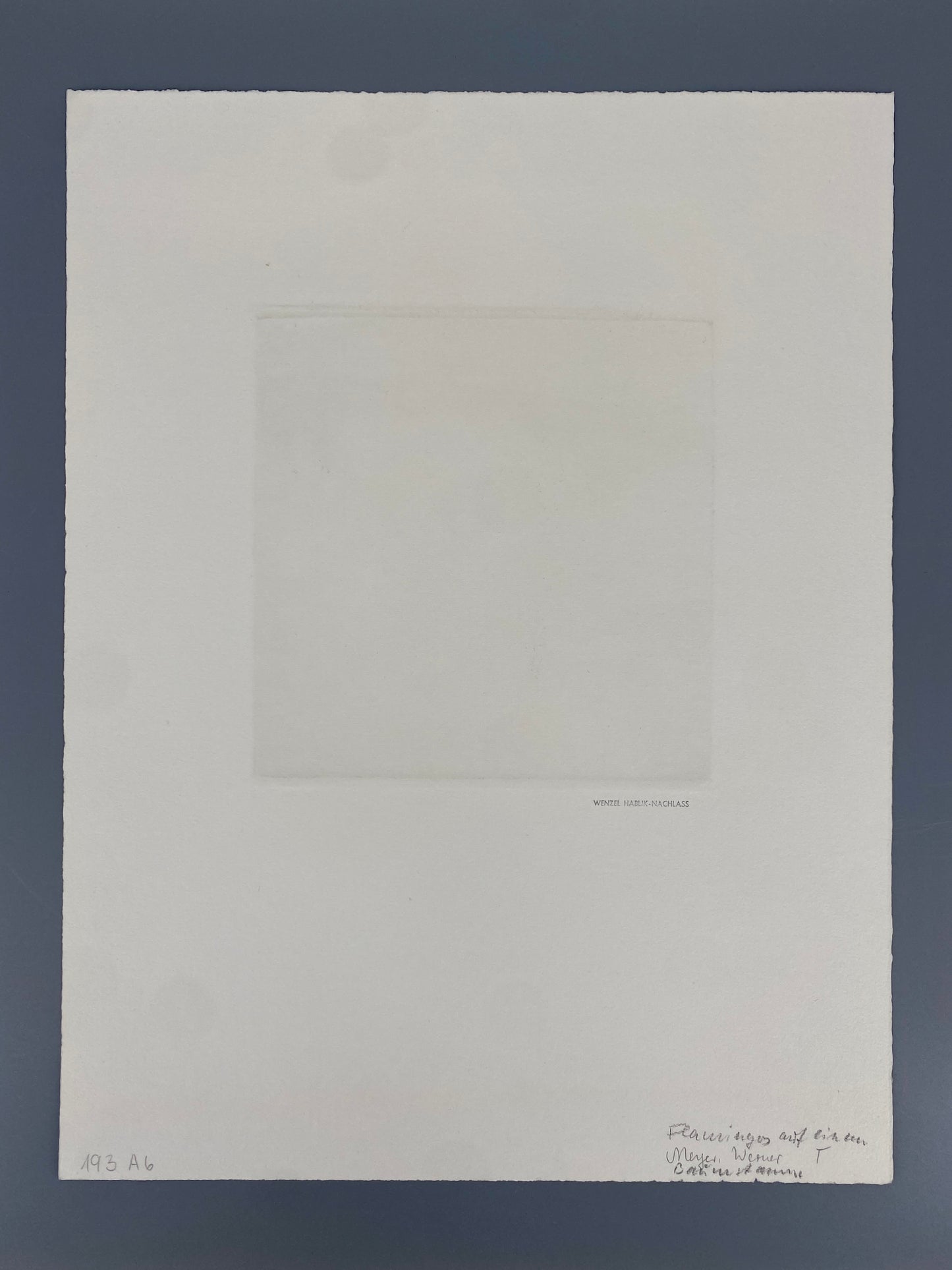Radierung "Flamingos auf einem Baumstamm" von Wenzel Hablik, 1909/1973