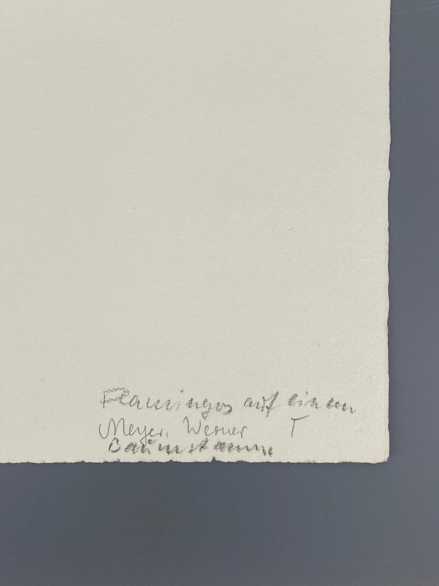 Radierung "Flamingos auf einem Baumstamm" von Wenzel Hablik, 1909/1973