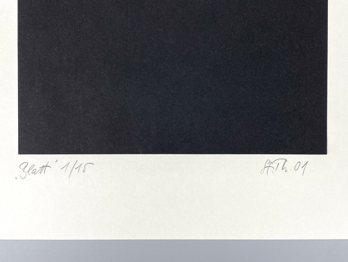 Reihe aus zwei Collagen "Blatt" und "Auszug" von Stefan Thiel (geb. 1965), signiert und nummeriert, 2001