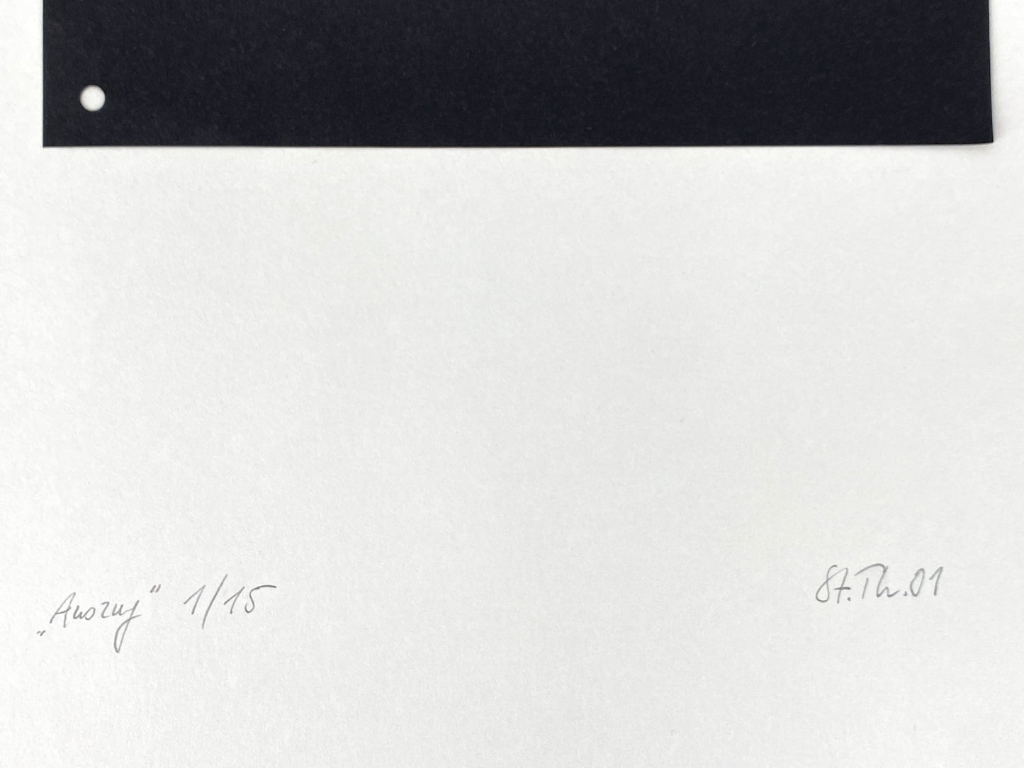 Reihe aus zwei Collagen "Blatt" und "Auszug" von Stefan Thiel (geb. 1965), signiert und nummeriert, 2001