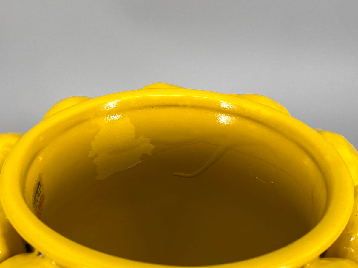 Zitronen Vase / Blumentopf von Des Pots