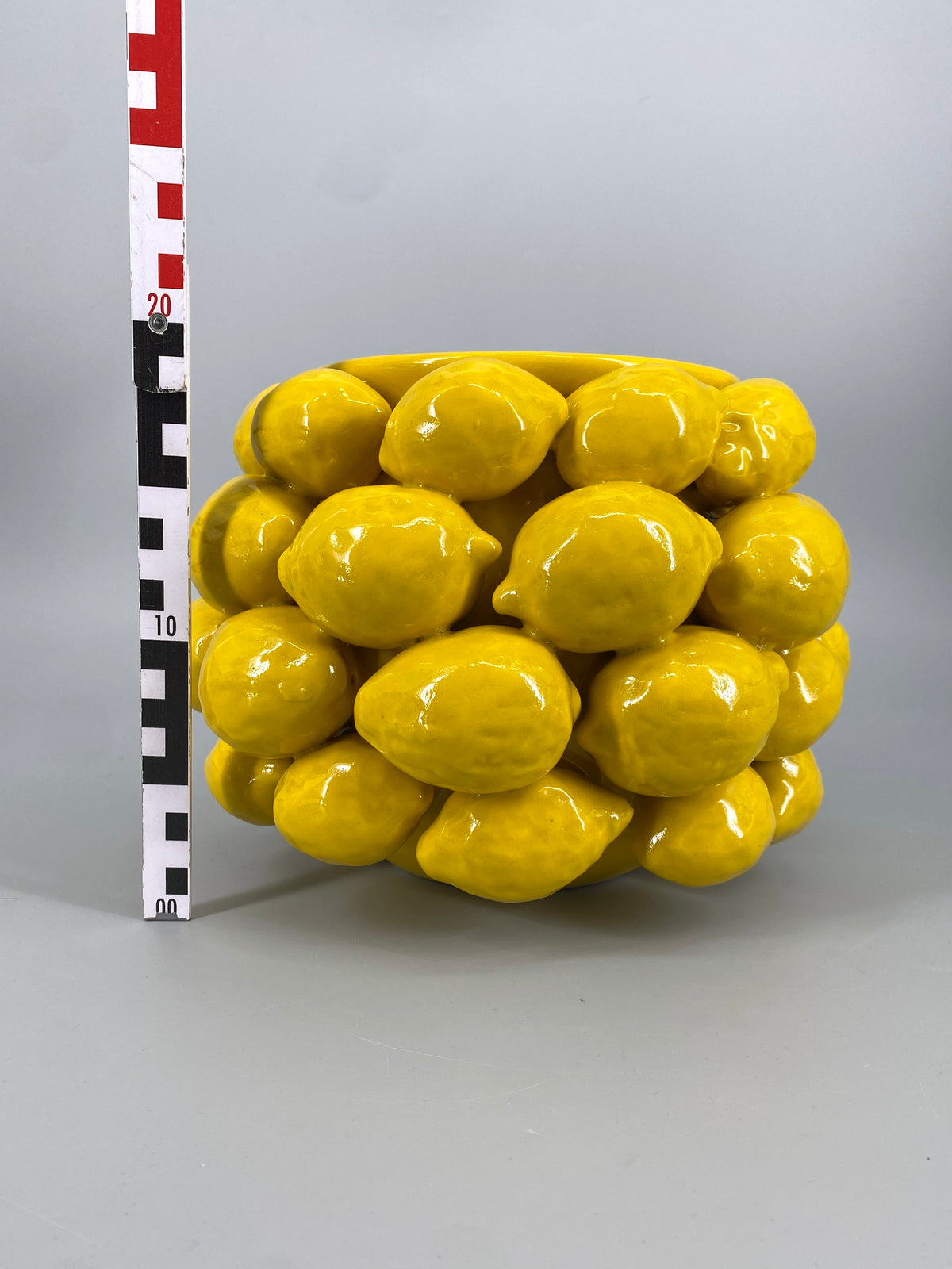 Zitronen Vase / Blumentopf von Des Pots