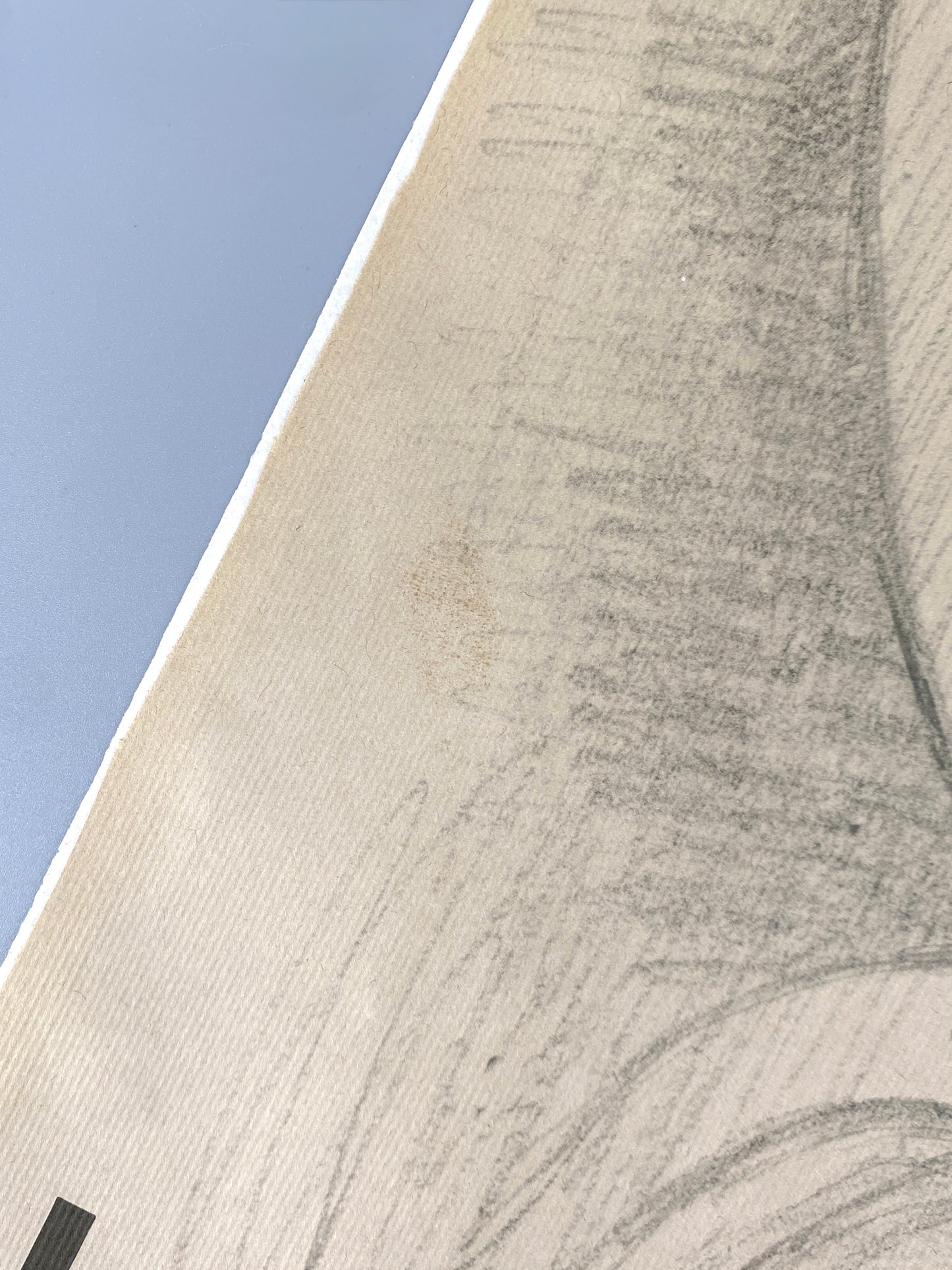 Ausstellungsplakat "Balthus. Dessins et Aquarelles" aus Paris, Galerie Claude Bernard 1971