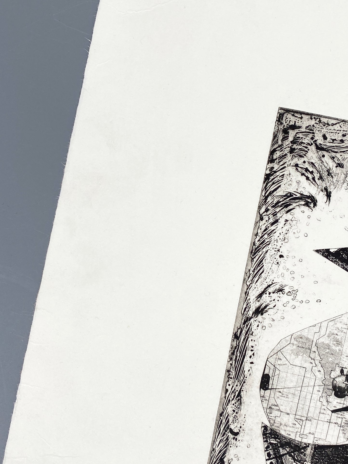 Spektakuläre Radiercollage mit einem Chamäleon von Inge Koch (1934–2016), 2004