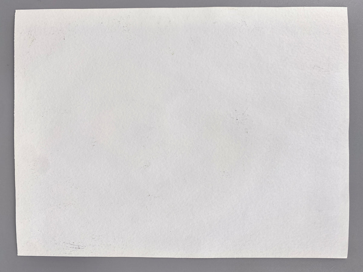 Obstkorb. Zeitgenössisches Stillleben. Aquarell, Türkise Corona