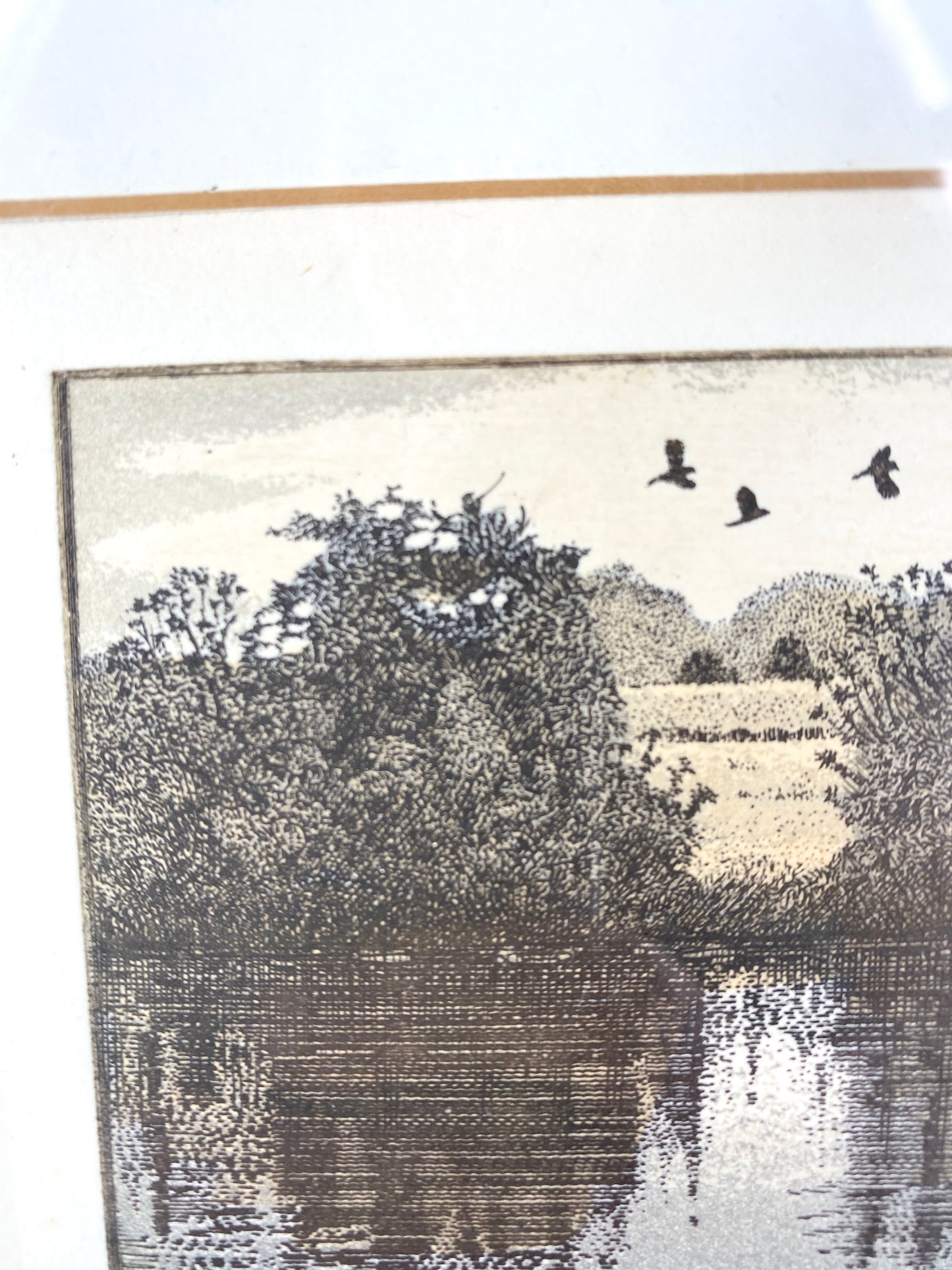 Norbert Behrend - Flussufer. Radierung