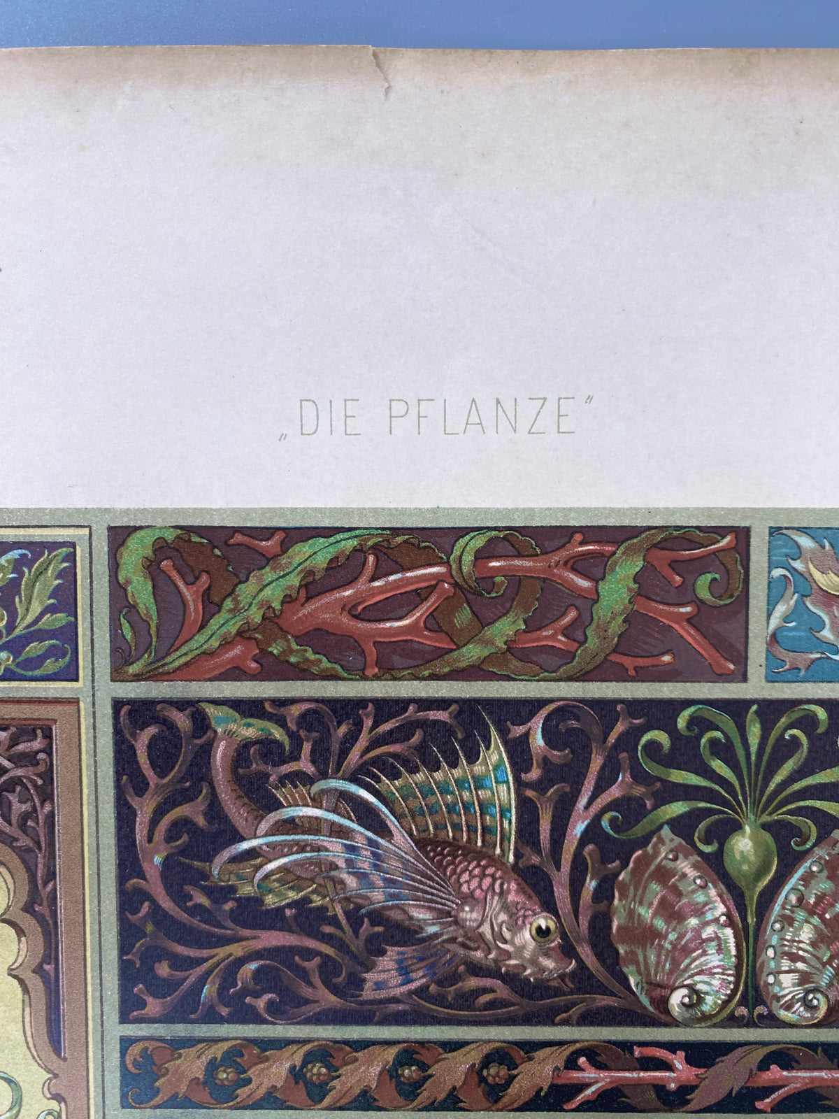 Aquatisch. Aus: Anton Seder - Die Pflanze in Kunst und Gewerbe. Blatt 28, Original Jugendstil.