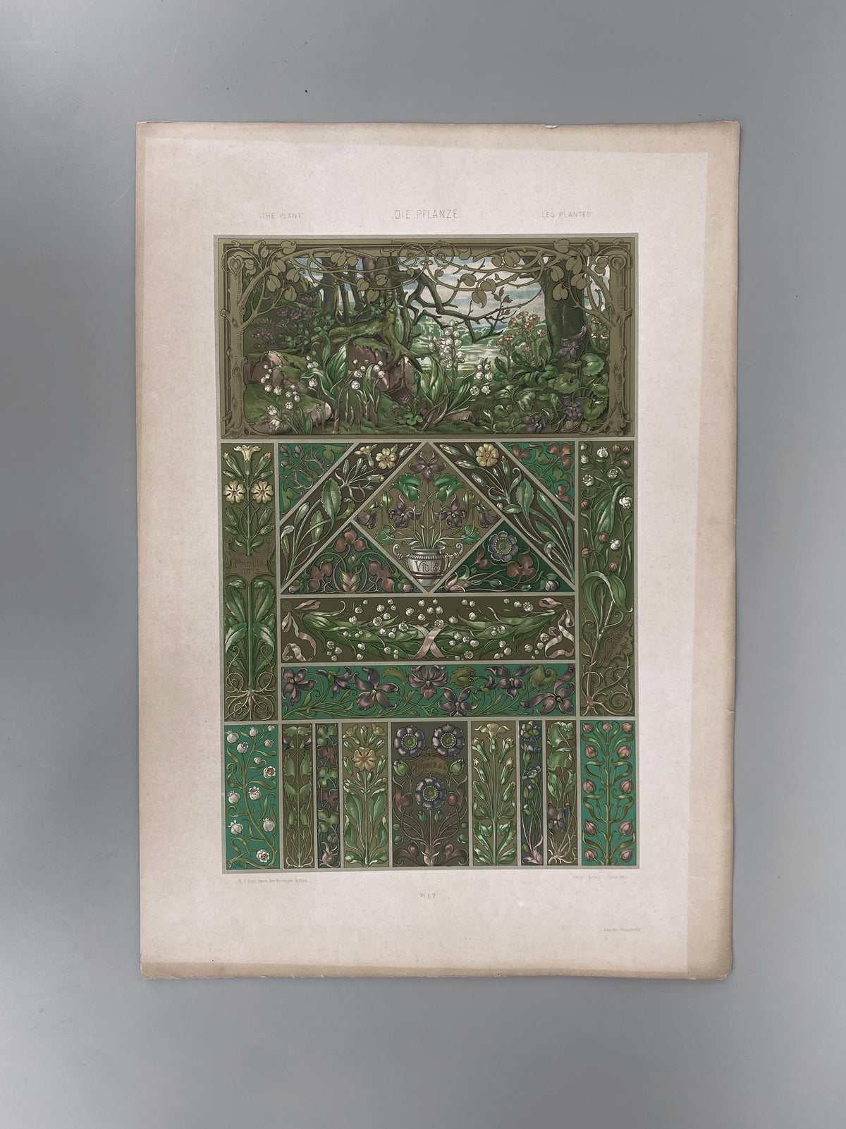 Blüten. Aus: Anton Seder - Die Pflanze in Kunst und Gewerbe. Blatt 57, Original Jugendstil.